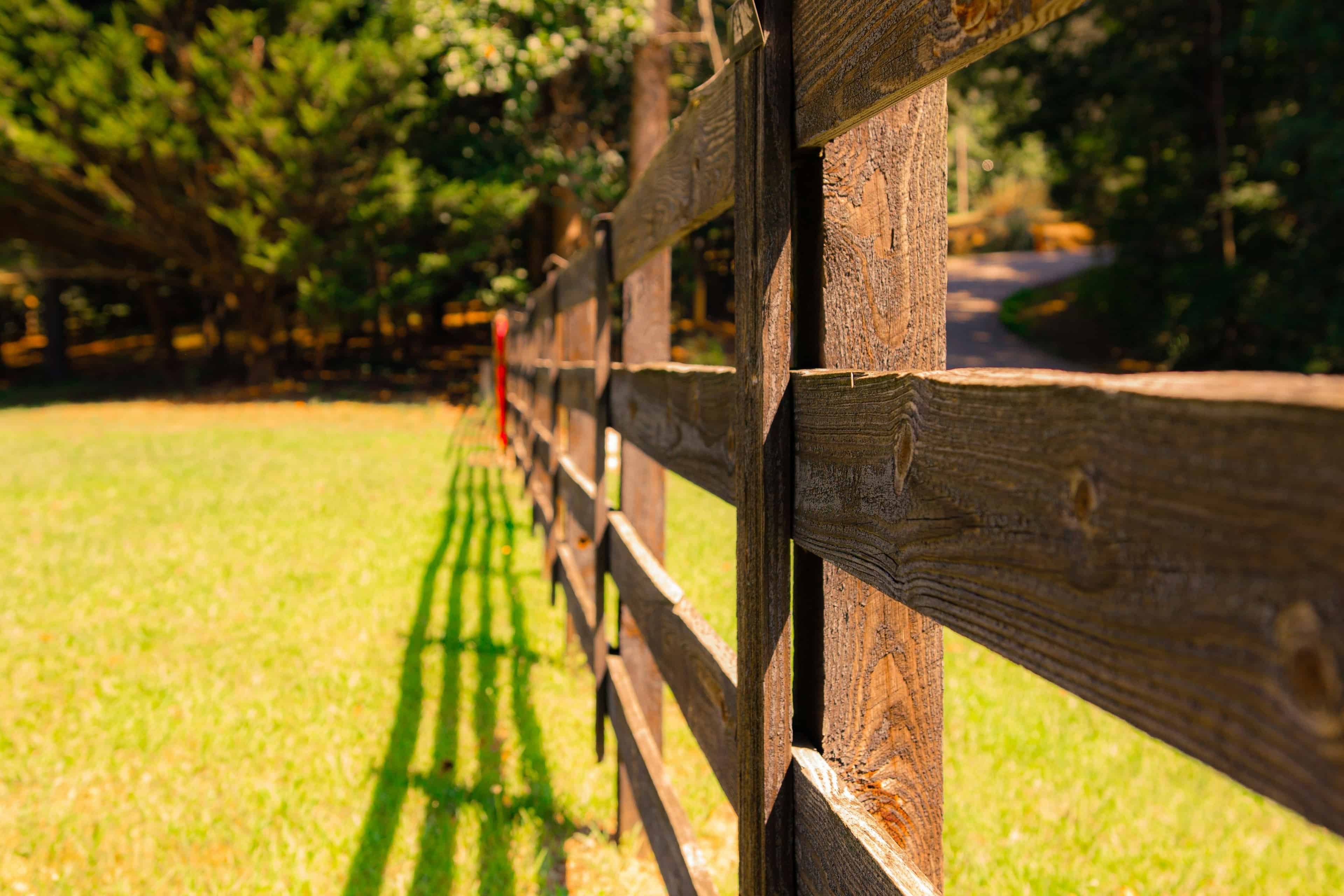 Fence Line Clearing image
