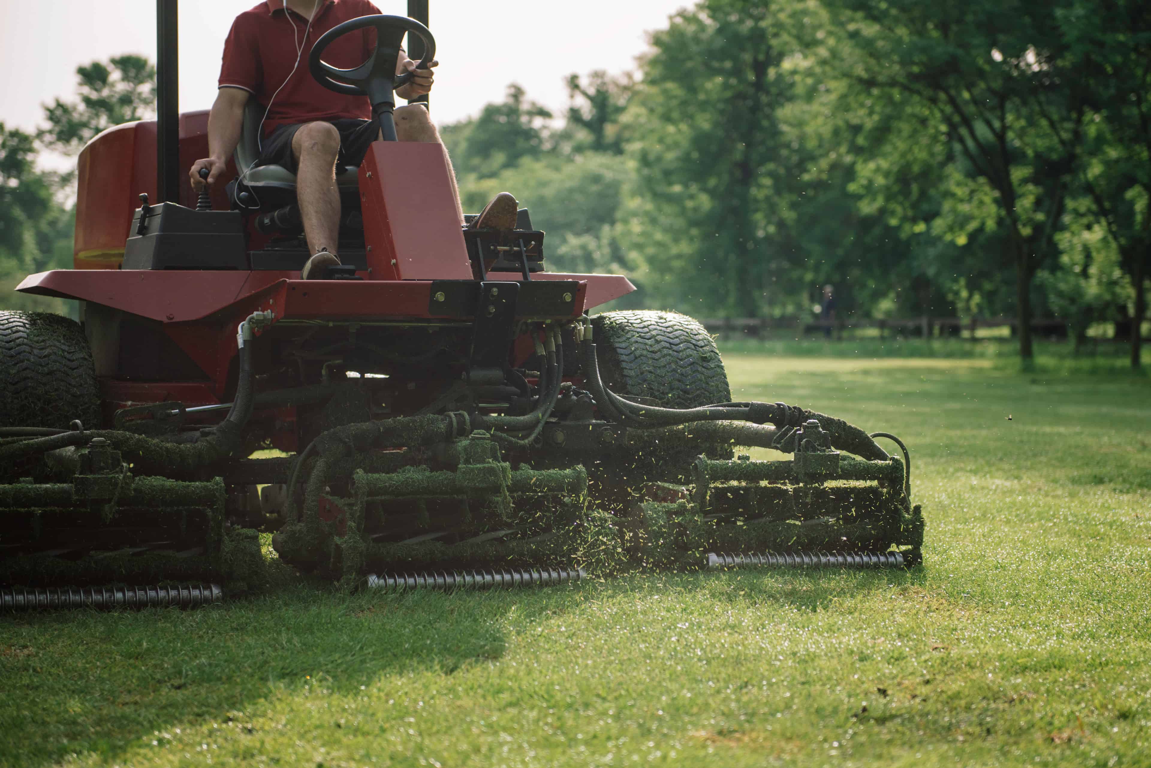 Large CRP Mowing image