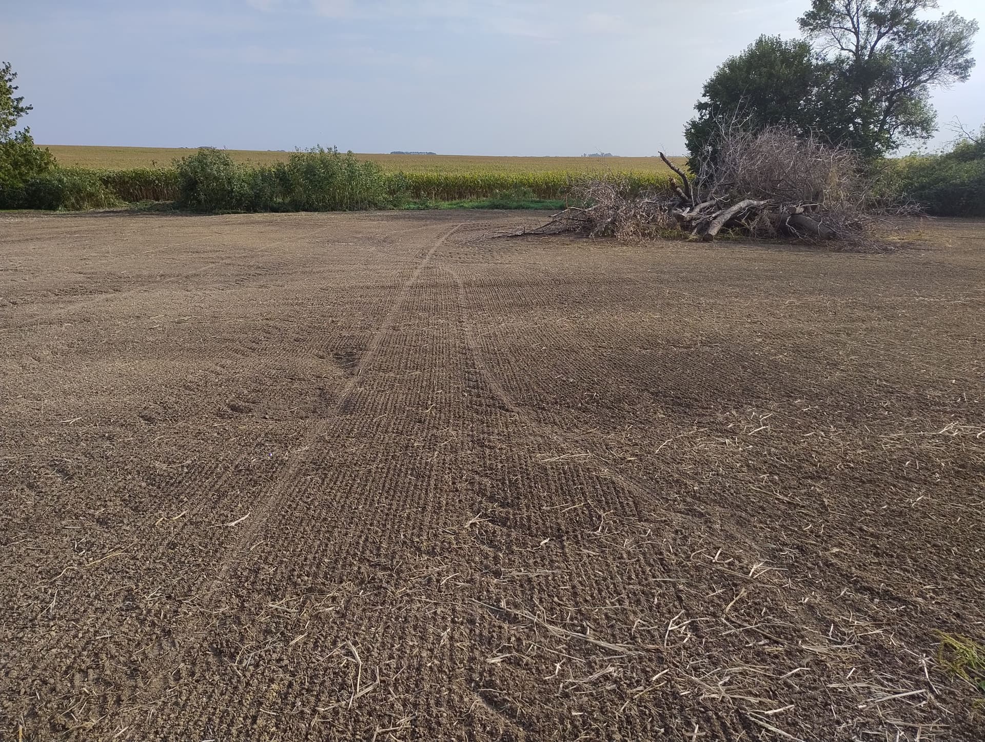Farm Yard Cleanup and Full Property Seeding Done Right