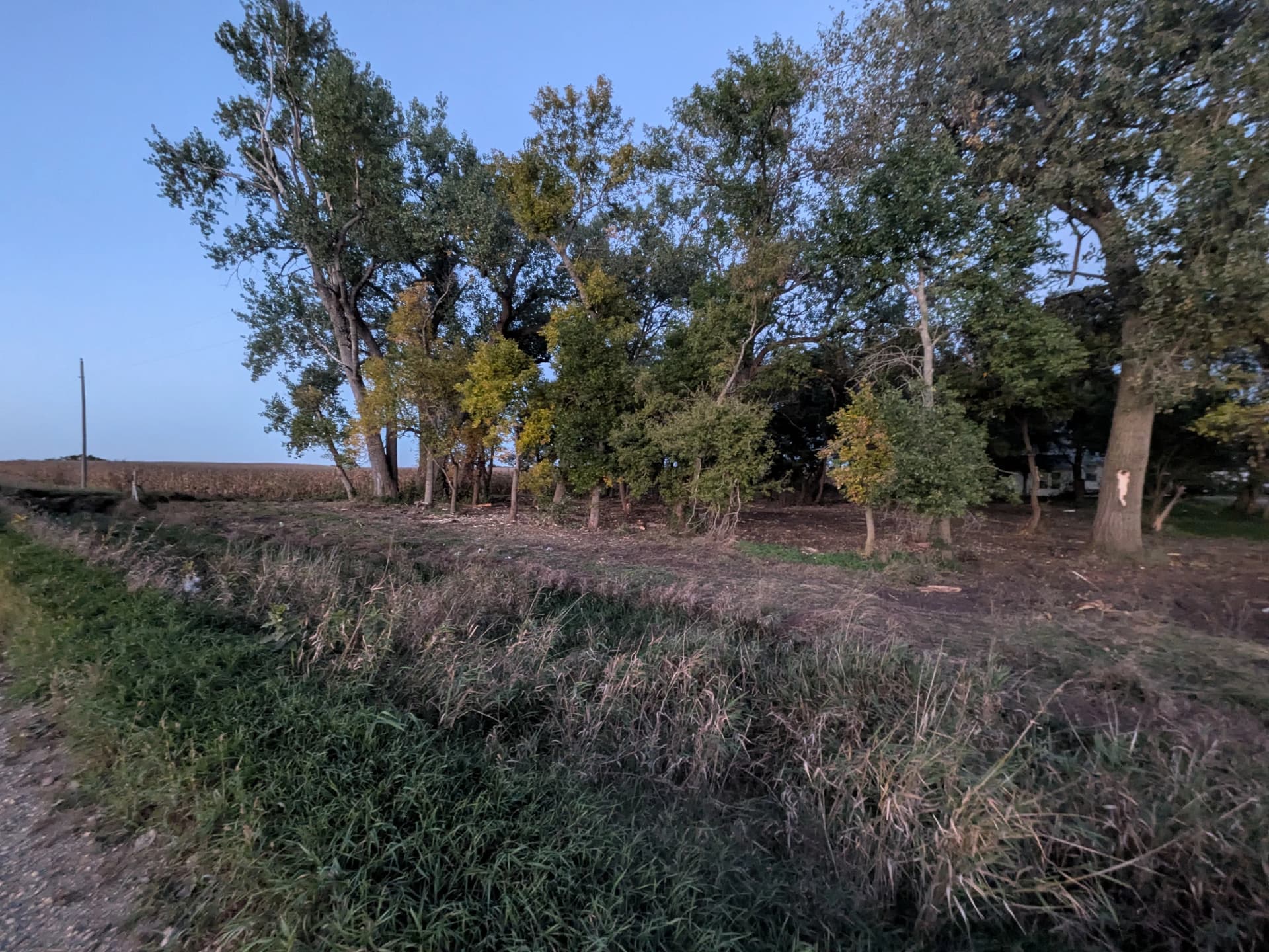 Gallery photos for 5 Acres Cleared and Ready to Use Again: Image #2