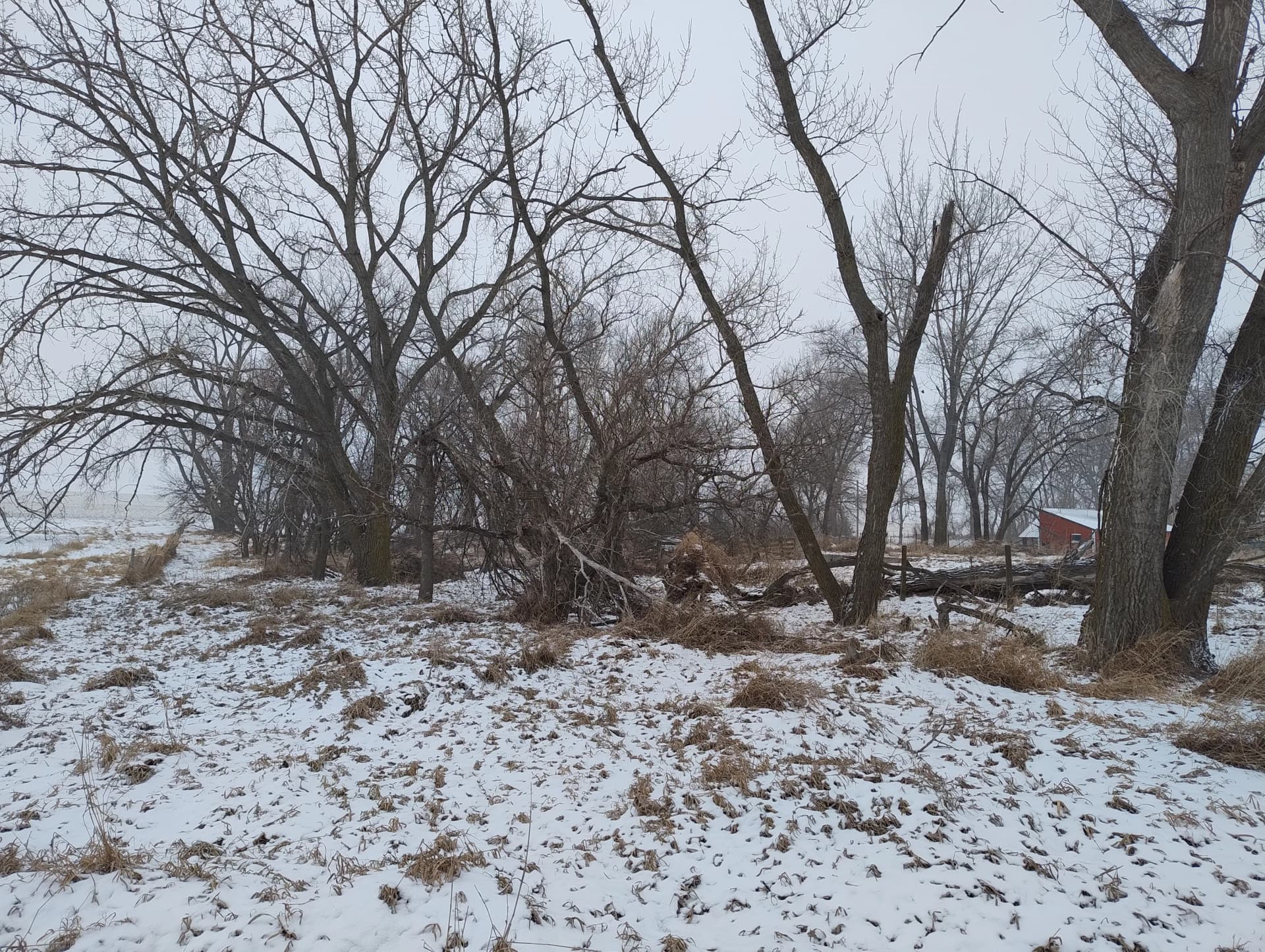 Gallery photos for 5 Acres Cleared and Ready to Use Again: Image #7