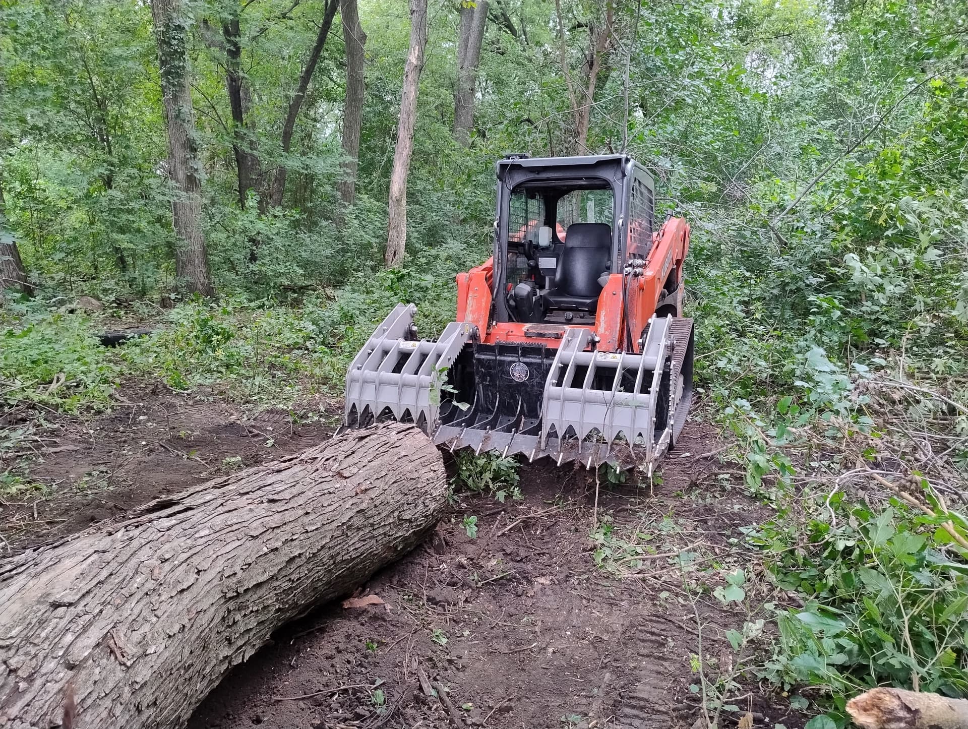 Gallery photos for Storm Damage Tree Removal and Cleanup Near Butterfield MN: Image #6