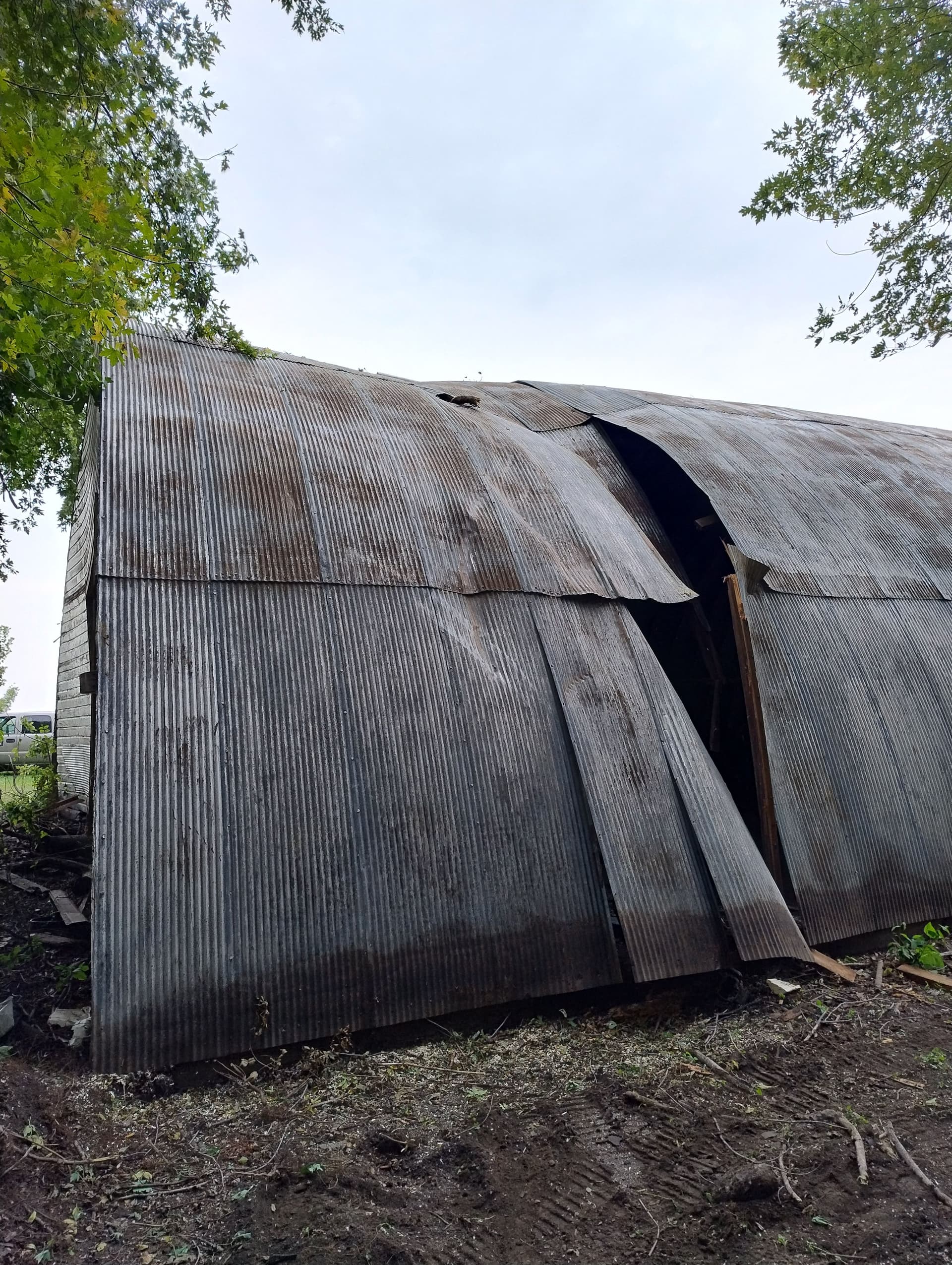 Gallery photos for Storm Damage Tree Removal and Cleanup Near Butterfield MN: Image #7