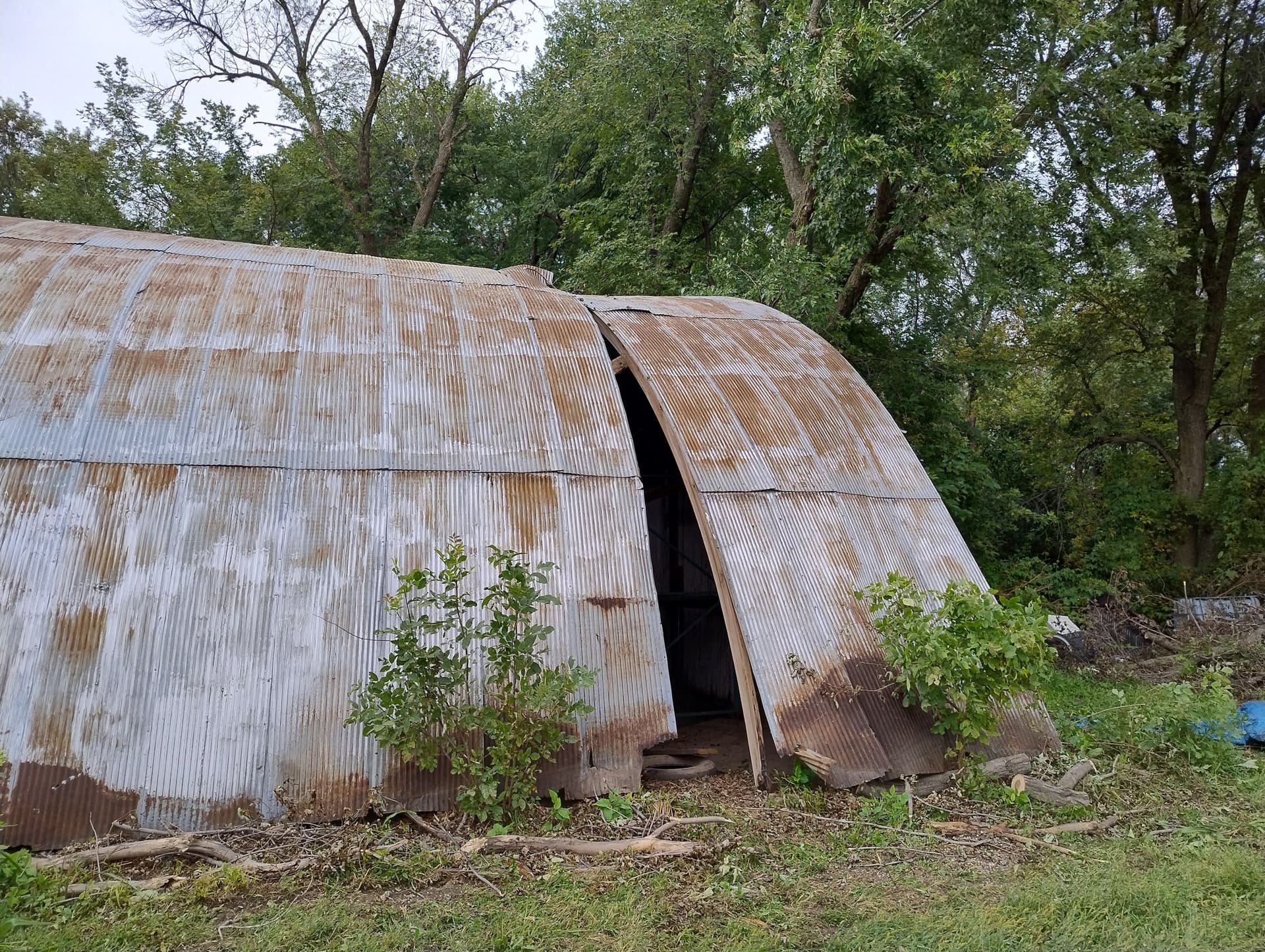 Gallery photos for Storm Damage Tree Removal and Cleanup Near Butterfield MN: Image #5