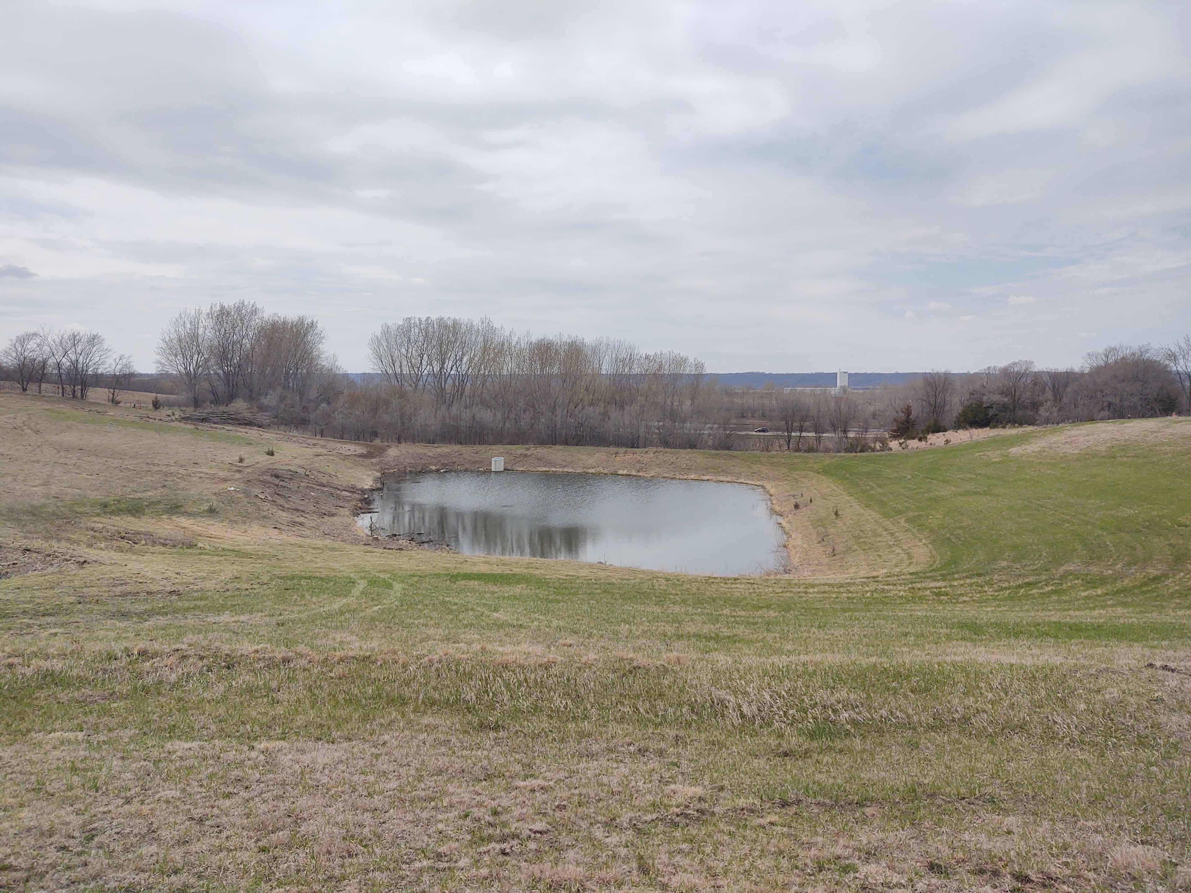 Project Overgrown Pond Site Cleared and Opened Up Near St. Peter MN image