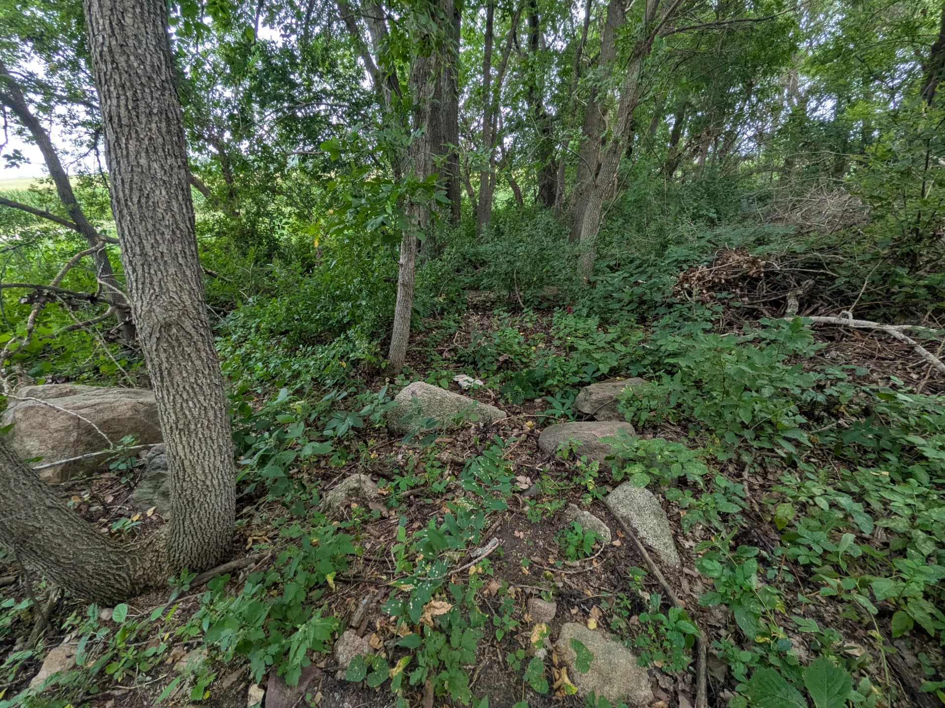 Gallery photos for Old Farm Site Near Lakefield Gets a Ground-Up Cleanup: Image #5