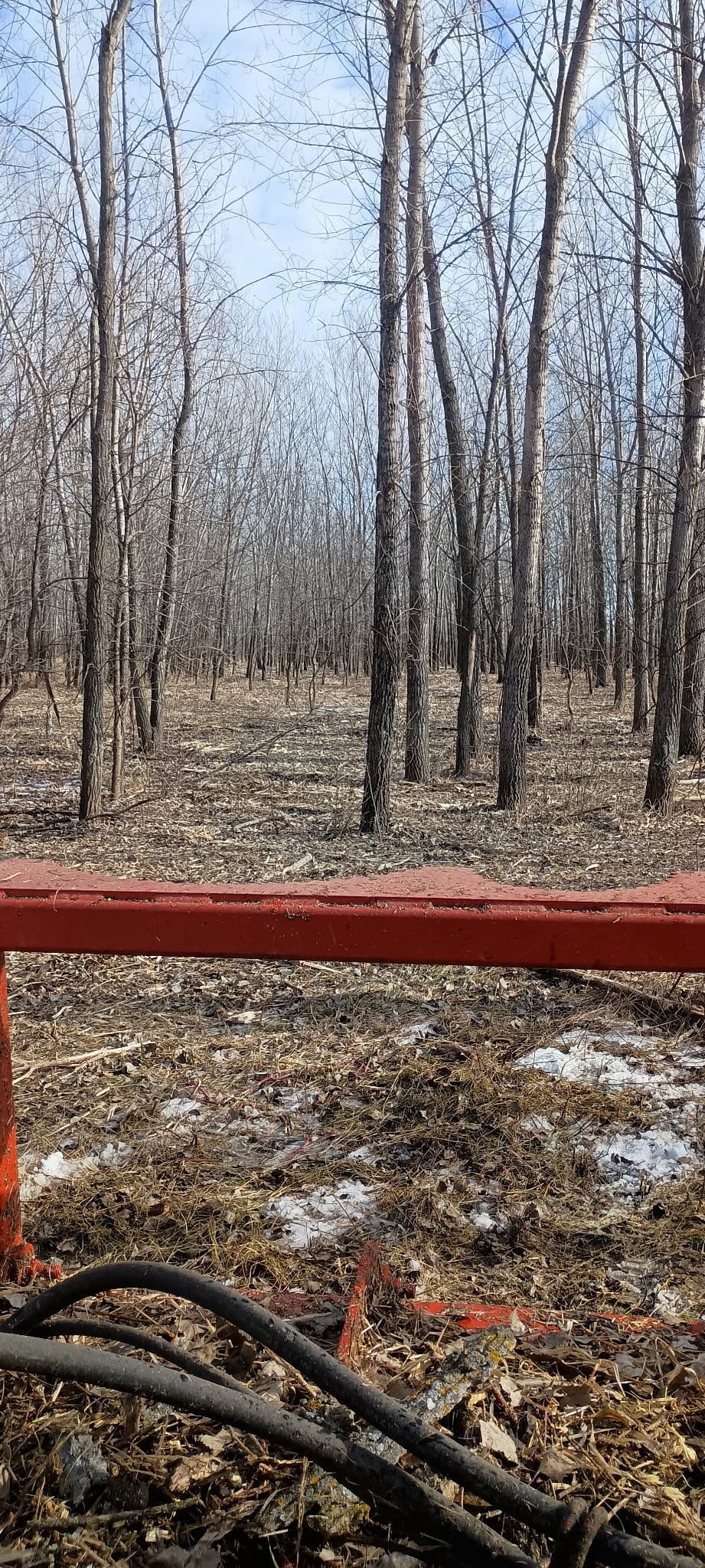 Forestry Mulching Near Milroy MN