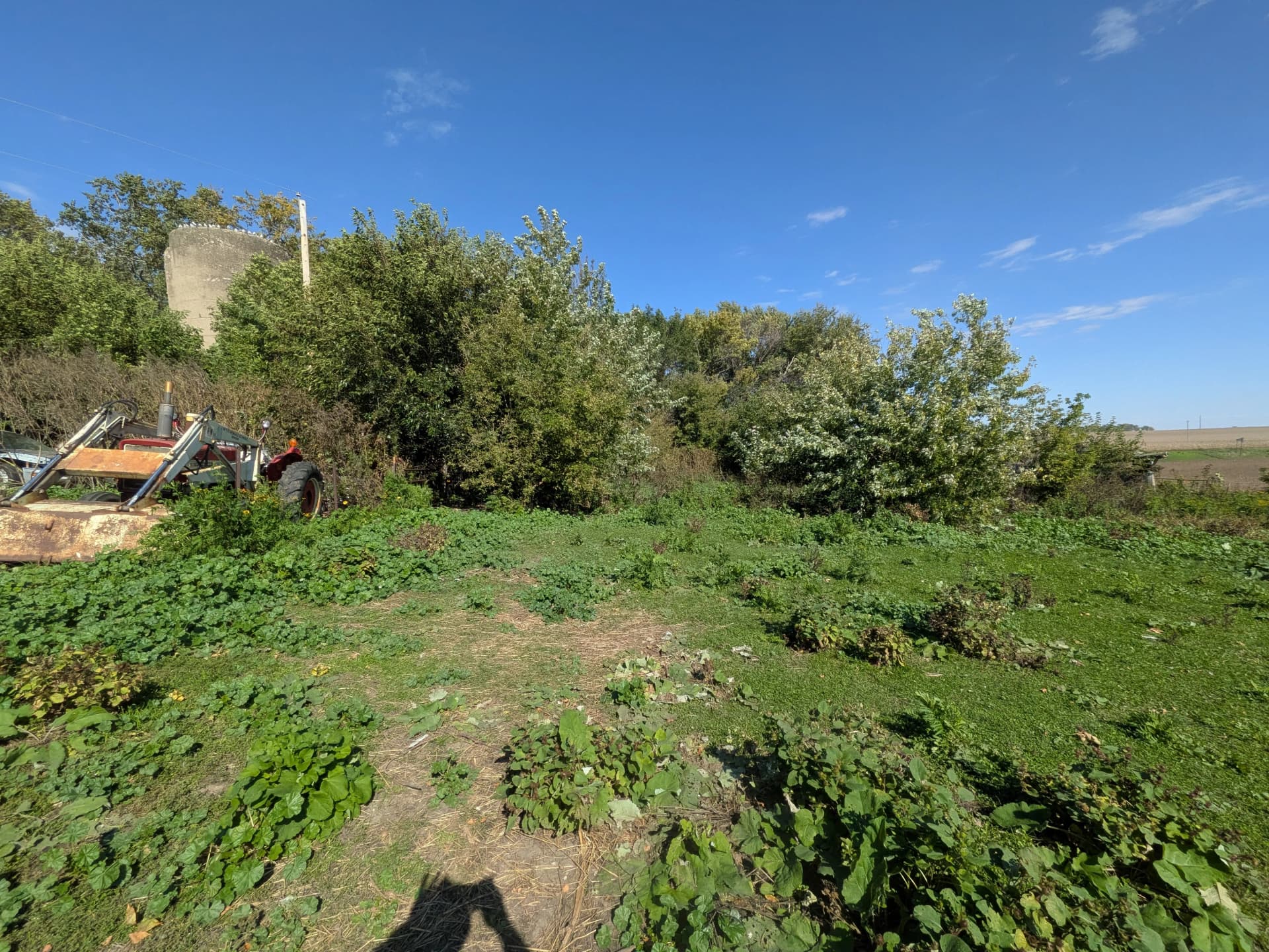 Gallery photos for Old Farm Site Near Lakefield Gets a Ground-Up Cleanup: Image #6