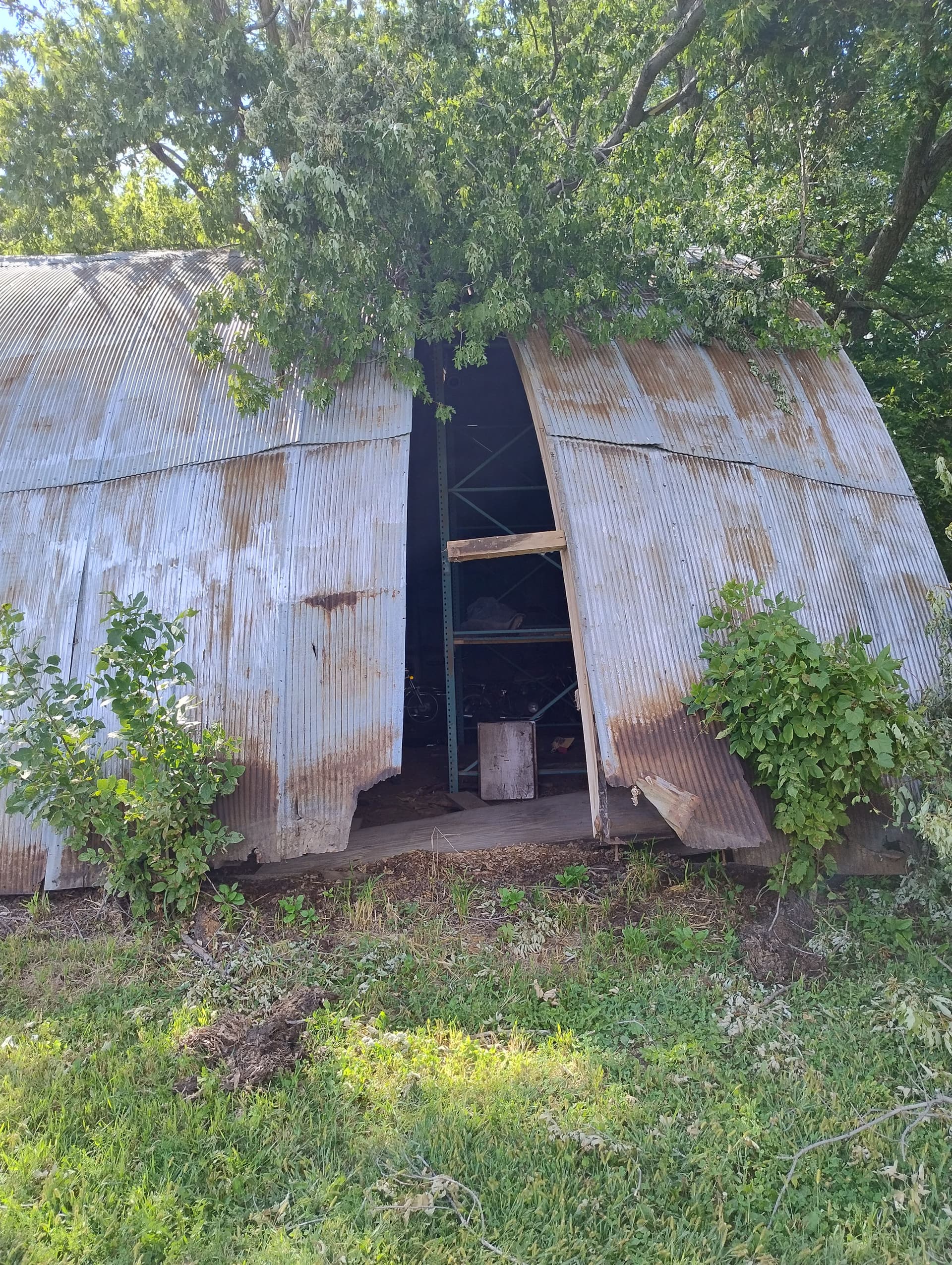 Storm Damage Tree Removal and Cleanup Near Butterfield MN