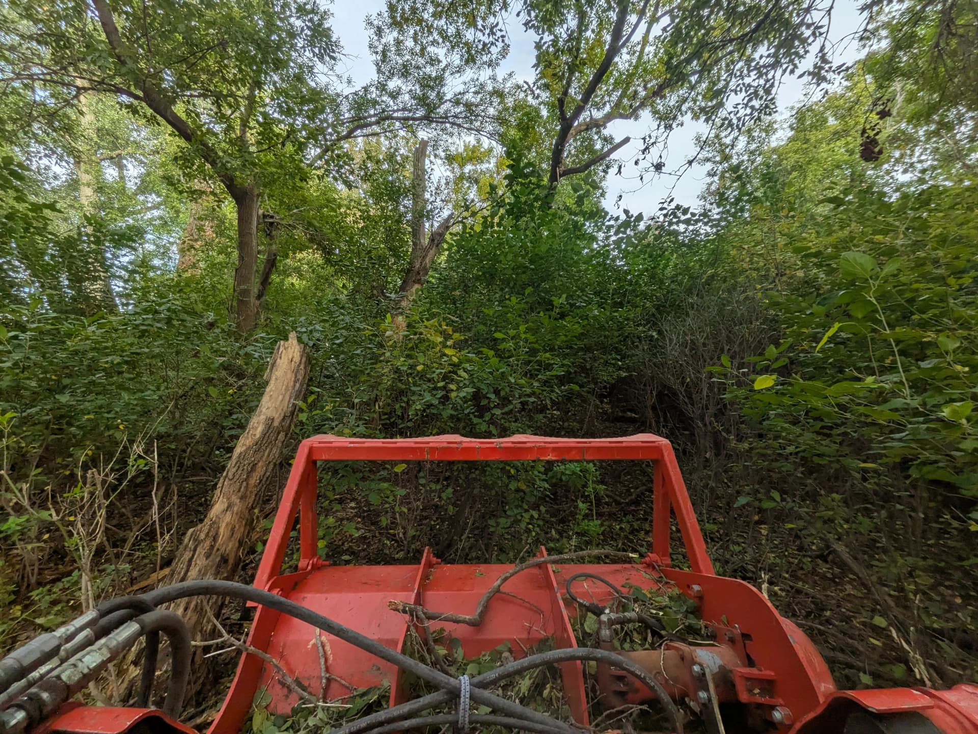 Gallery photos for 5 Acres Cleared and Ready to Use Again: Image #5