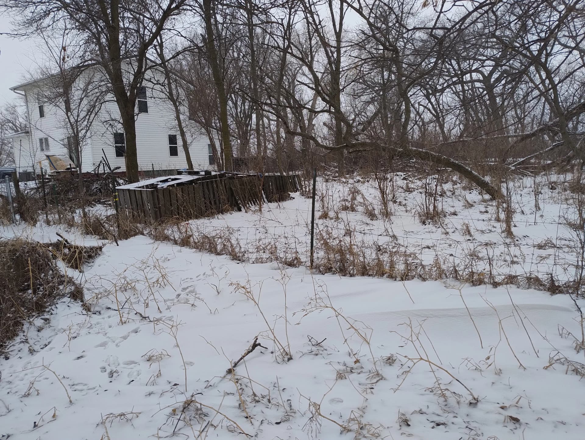 Gallery photos for 5 Acres Cleared and Ready to Use Again: Image #6