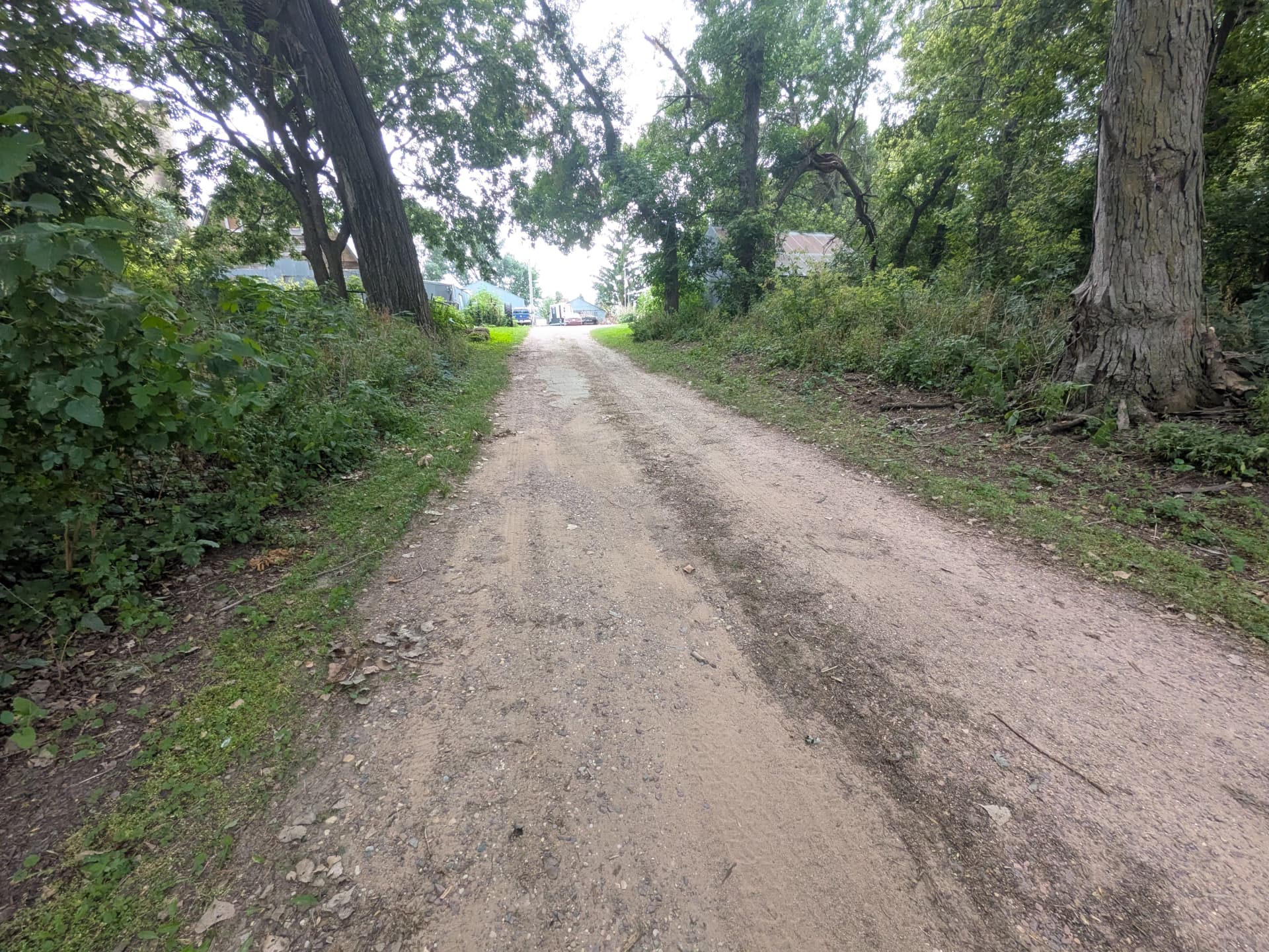 Old Farm Site Near Lakefield Gets a Ground-Up Cleanup image