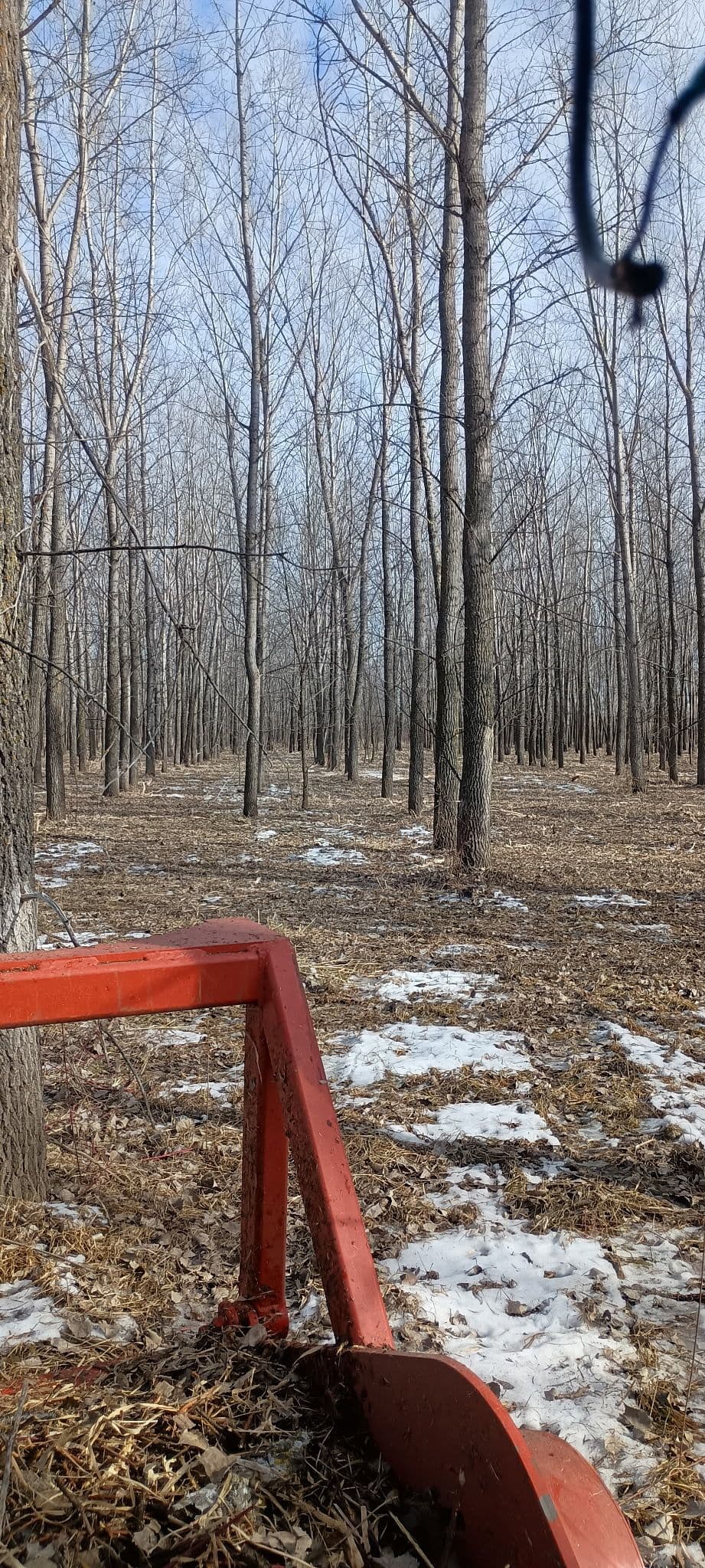 Forestry Mulching Near Milroy MN