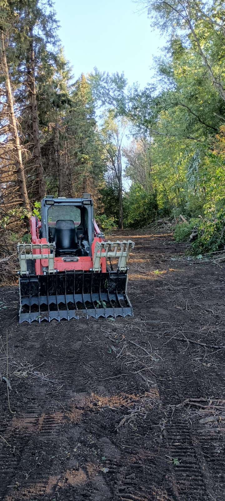 Clearing the Path for New Growth near Comfrey