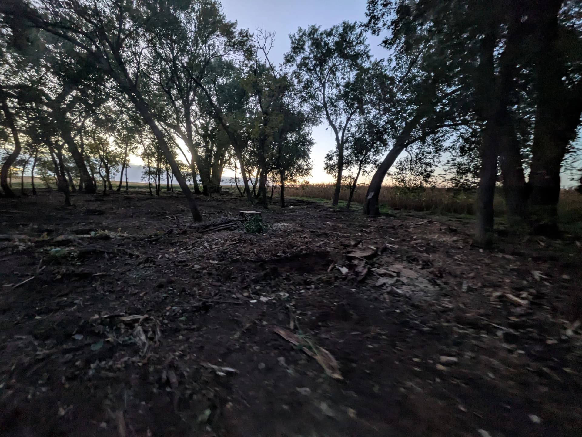 Gallery photos for 5 Acres Cleared and Ready to Use Again: Image #3