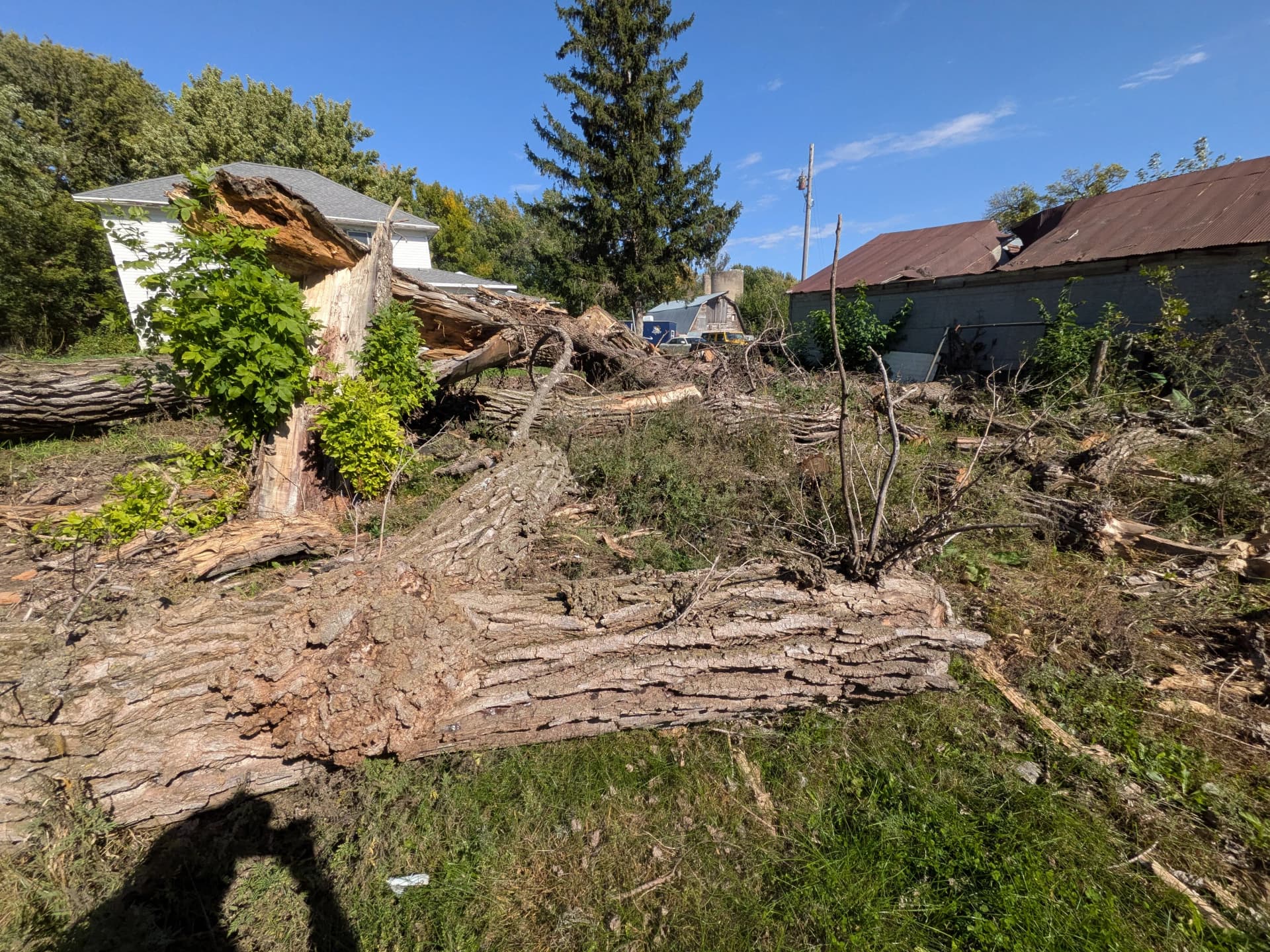 Gallery photos for Old Farm Site Near Lakefield Gets a Ground-Up Cleanup: Image #1