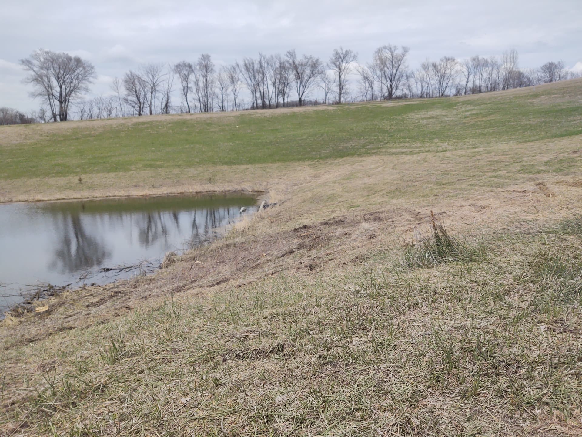 Gallery photos for Overgrown Pond Site Cleared and Opened Up Near St. Peter MN: Image #9