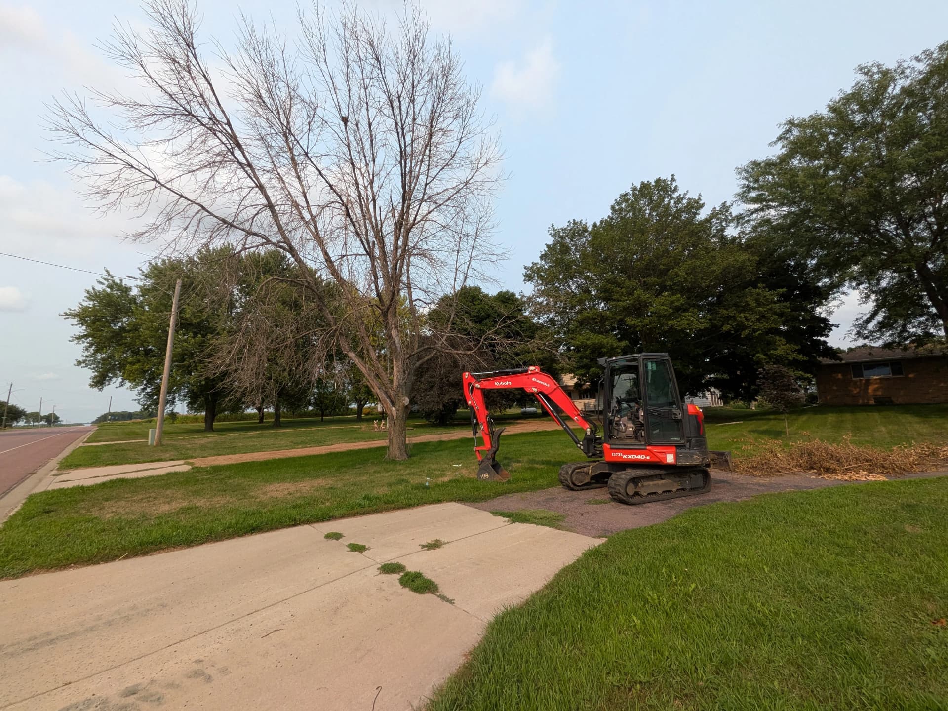 Dead Ash Tree Removal and Hauling in Comfrey MN image