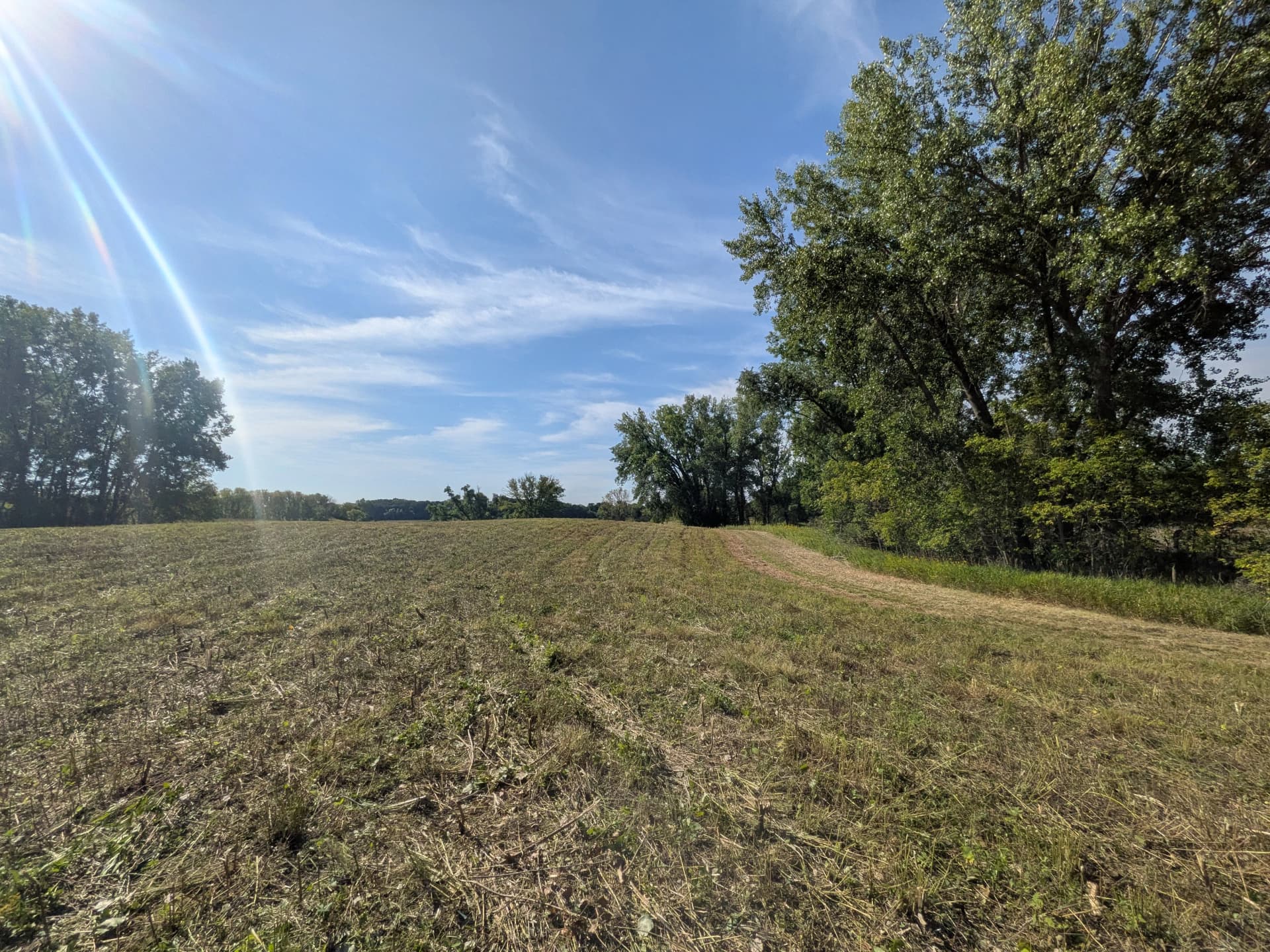 Gallery photos for CRP Brush Removal and Mowing Near Willmar MN: Image #5