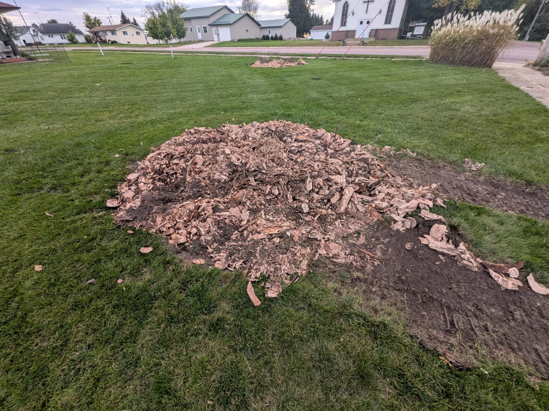 Gallery photos for Stump Removal and Grinding in Darfur MN: Image #3