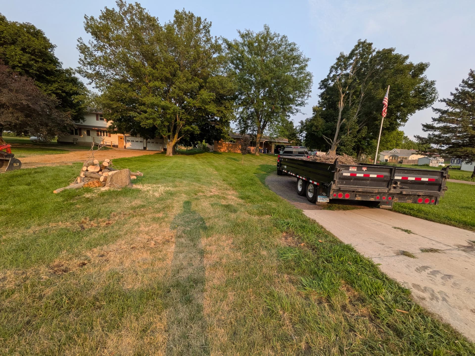 Gallery photos for Dead Ash Tree Removal and Hauling in Comfrey MN: Image #2