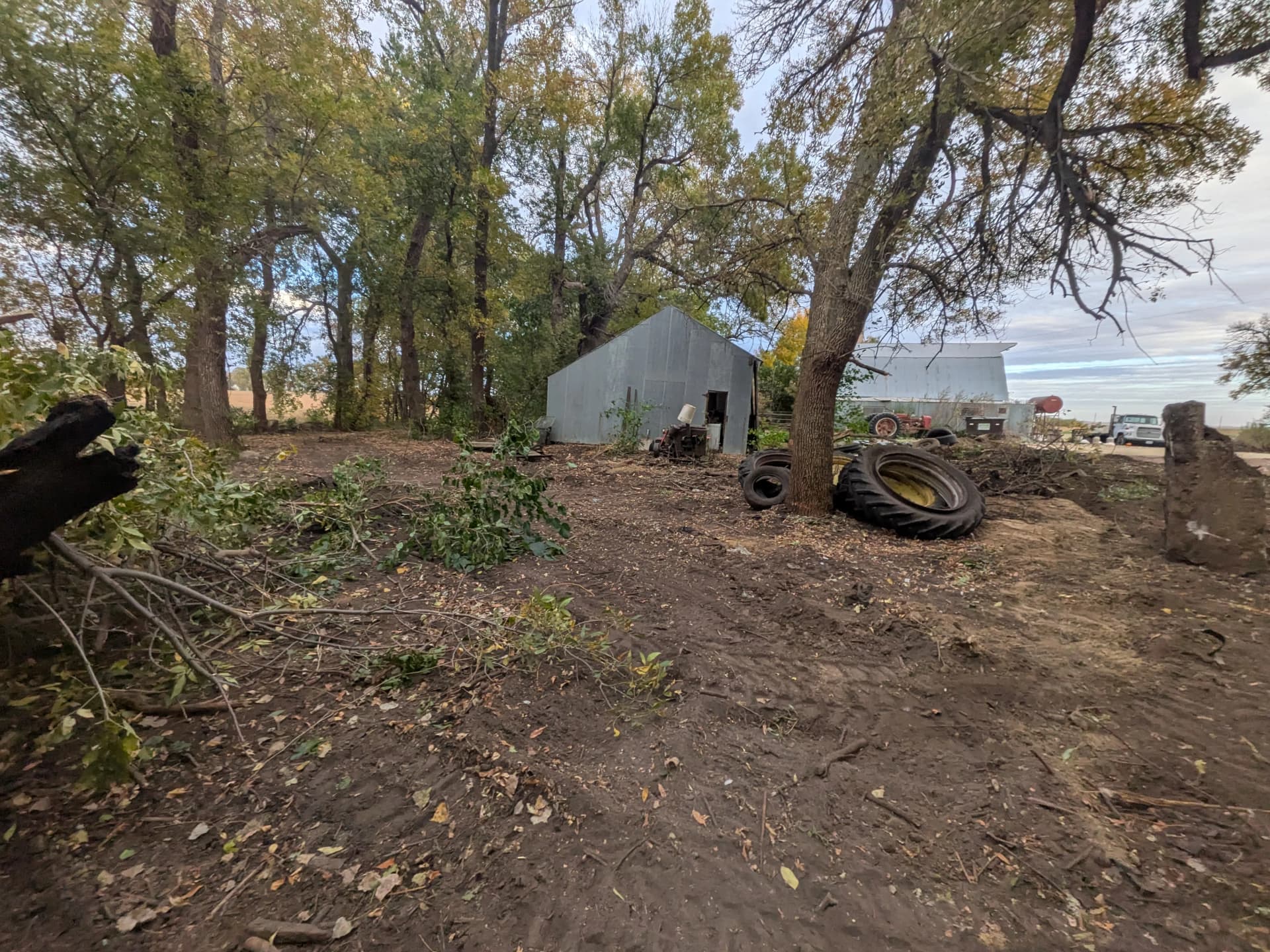 Gallery photos for Overgrown Property Land Clearing and Storm Tree Removal in Lakefield: Image #5