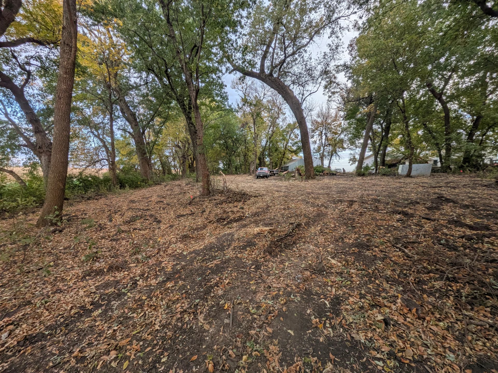 Gallery photos for Overgrown Property Land Clearing and Storm Tree Removal in Lakefield: Image #2