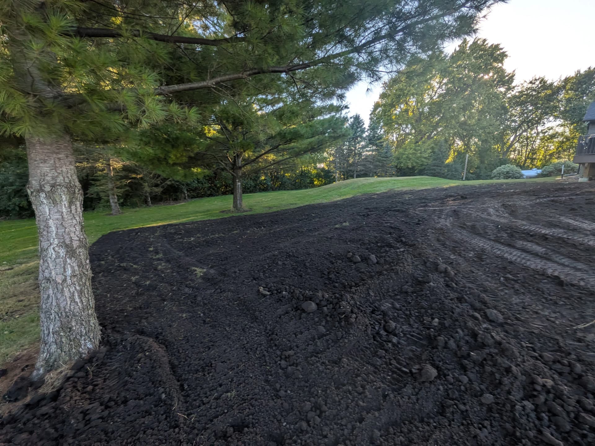 Gallery photos for Final Grading and Soil Prep Before the Seed Goes Down: Image #3
