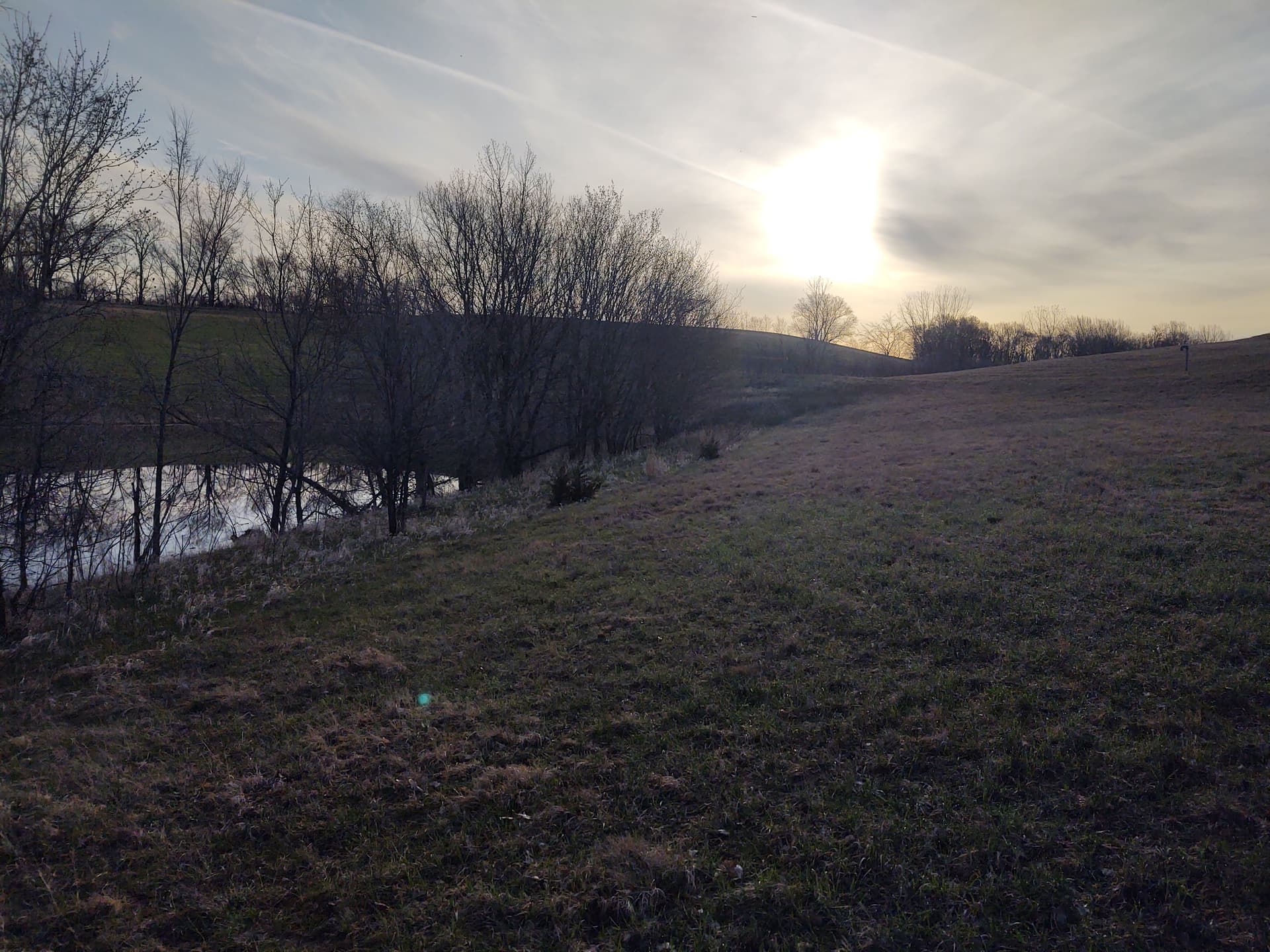 Gallery photos for Overgrown Pond Site Cleared and Opened Up Near St. Peter MN: Image #4