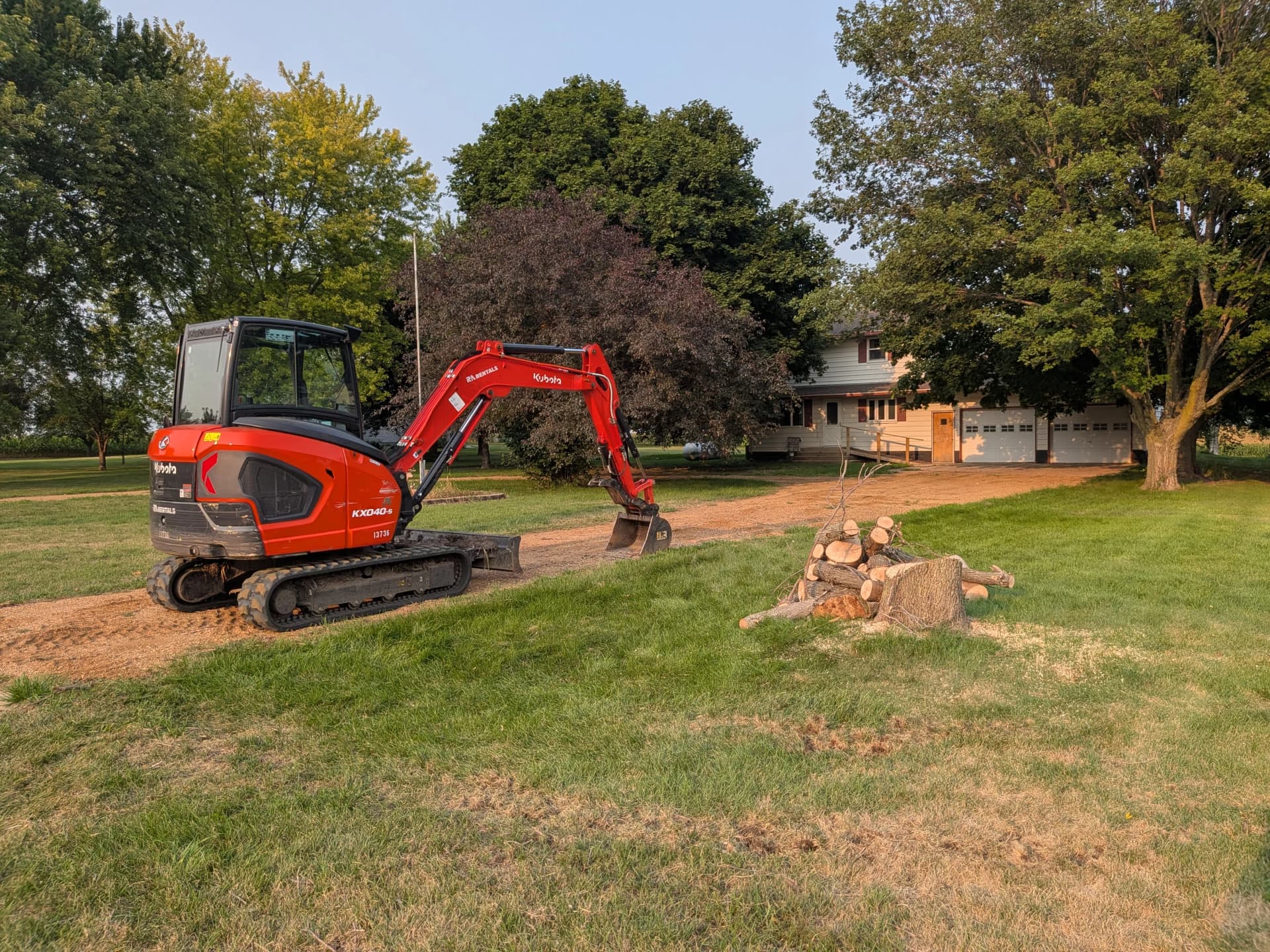 Gallery photos for Dead Ash Tree Removal and Hauling in Comfrey MN: Image #1