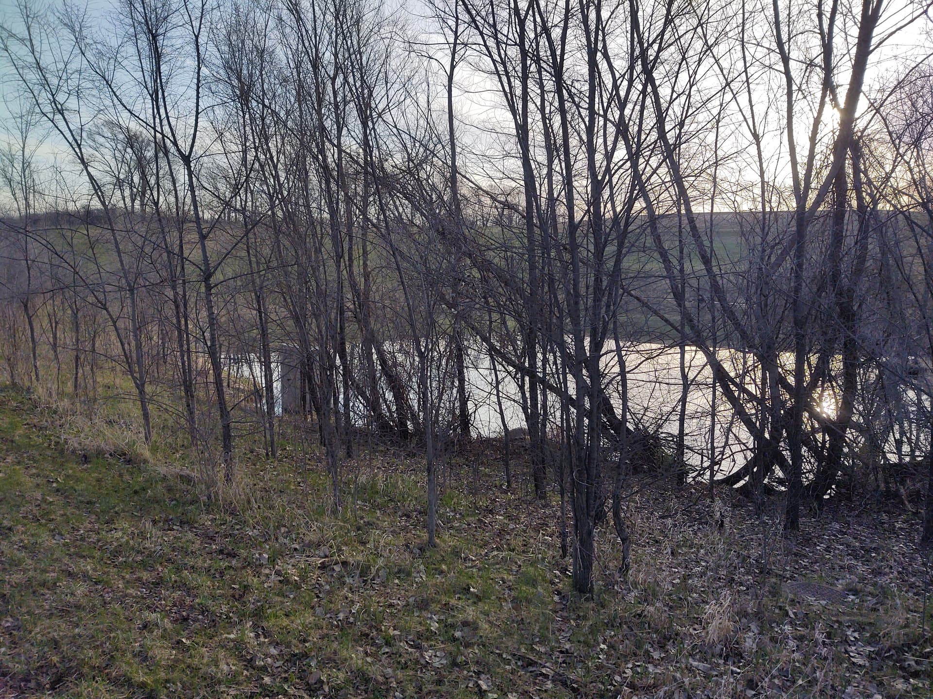 Gallery photos for Overgrown Pond Site Cleared and Opened Up Near St. Peter MN: Image #6