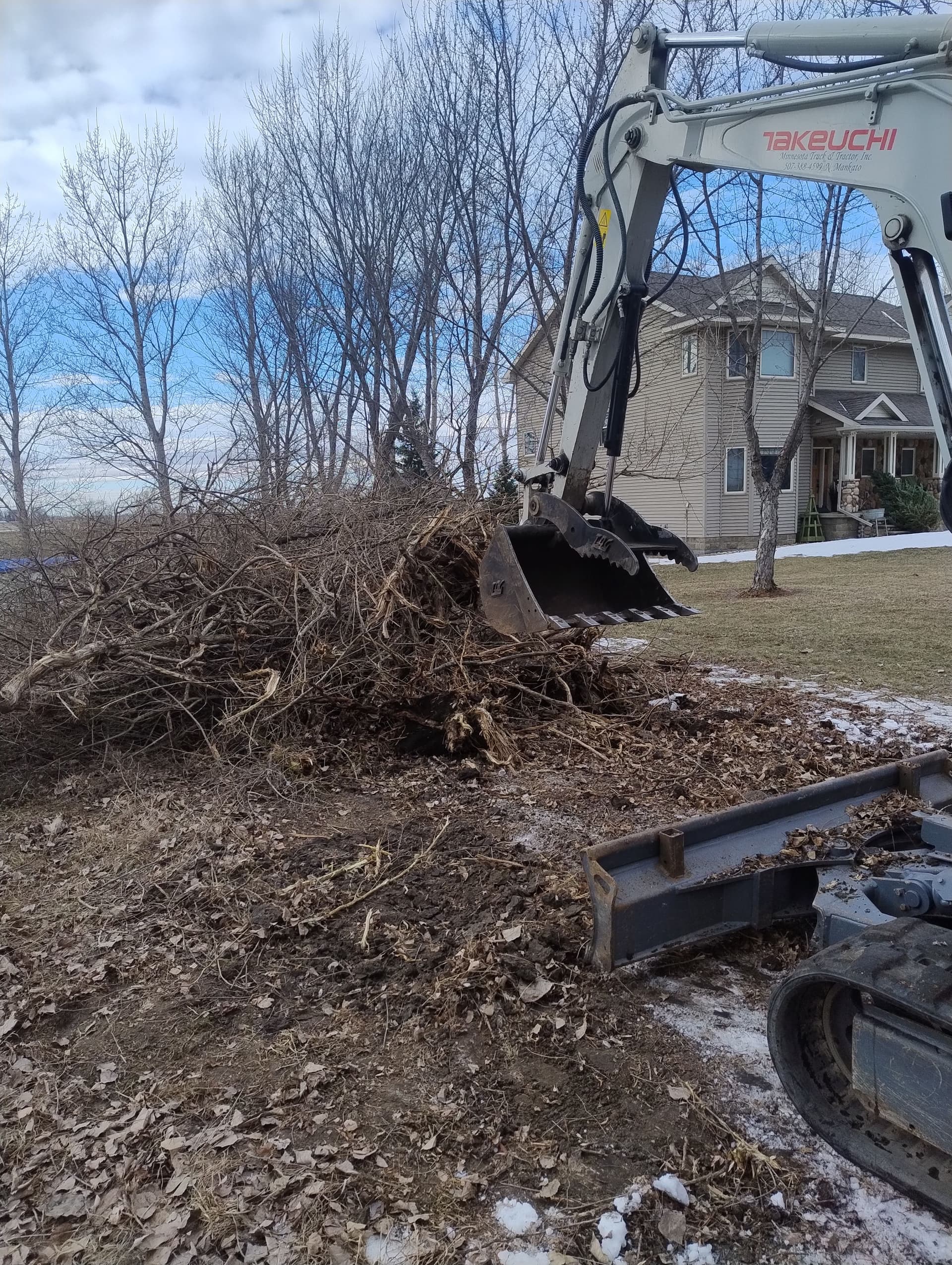 Gallery photos for Lilac Bush Removal Near Hanska MN: Image #2