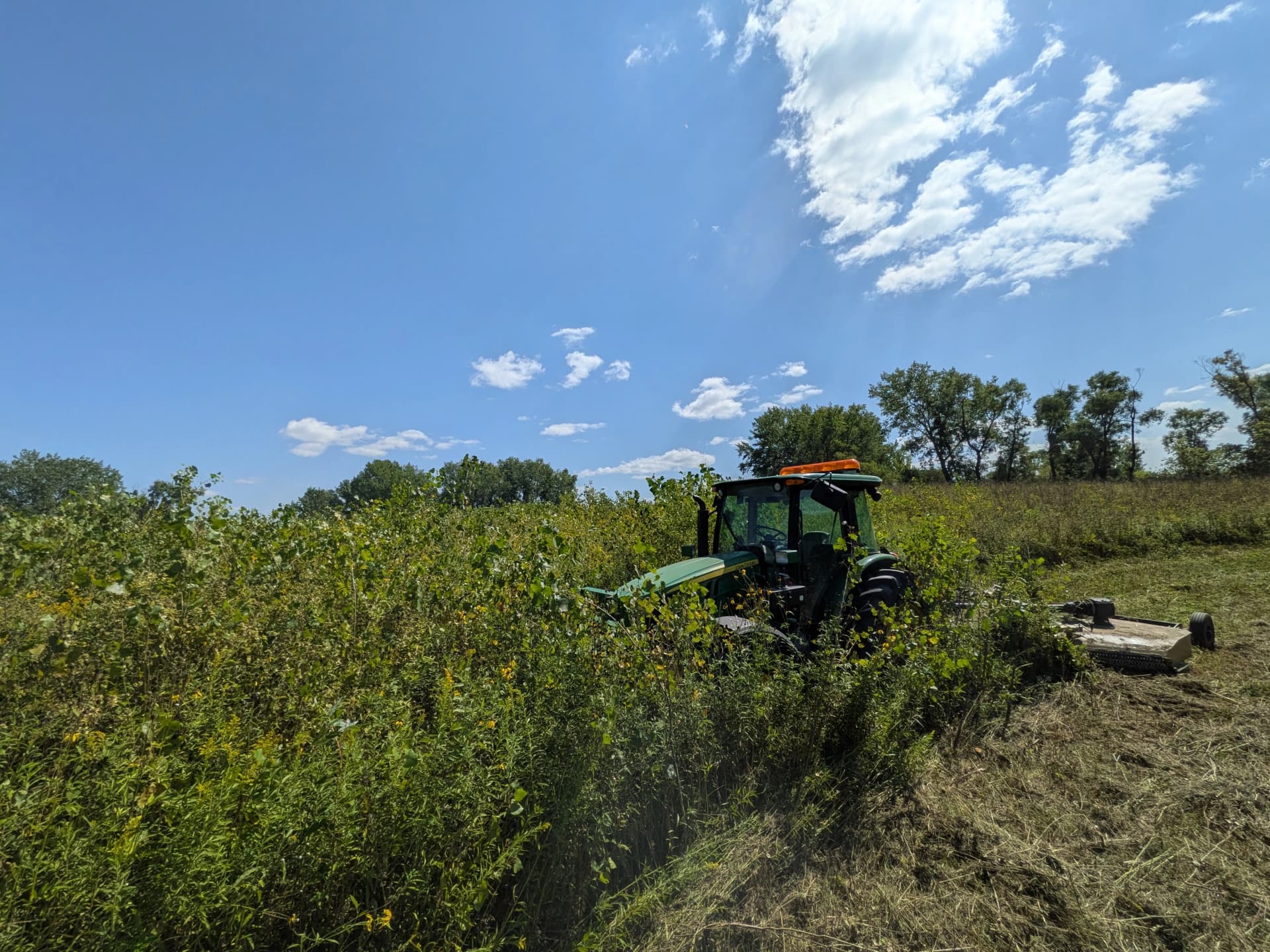Gallery photos for CRP Brush Removal and Mowing Near Willmar MN: Image #2