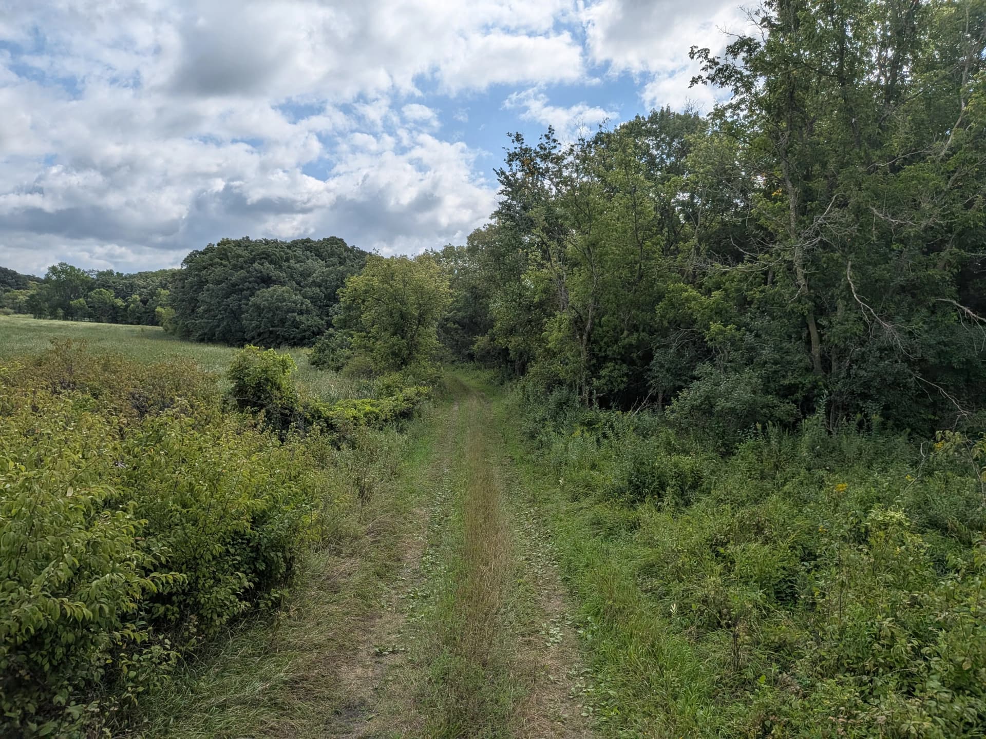 CRP Brush Removal and Mowing Near Willmar MN image