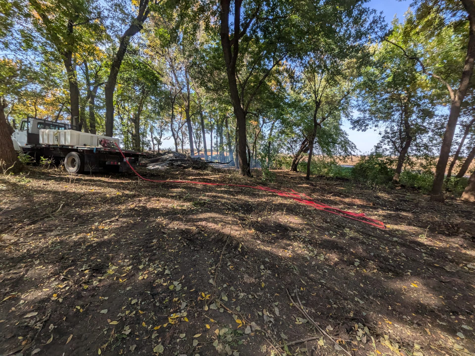 Gallery photos for Overgrown Property Land Clearing and Storm Tree Removal in Lakefield: Image #6