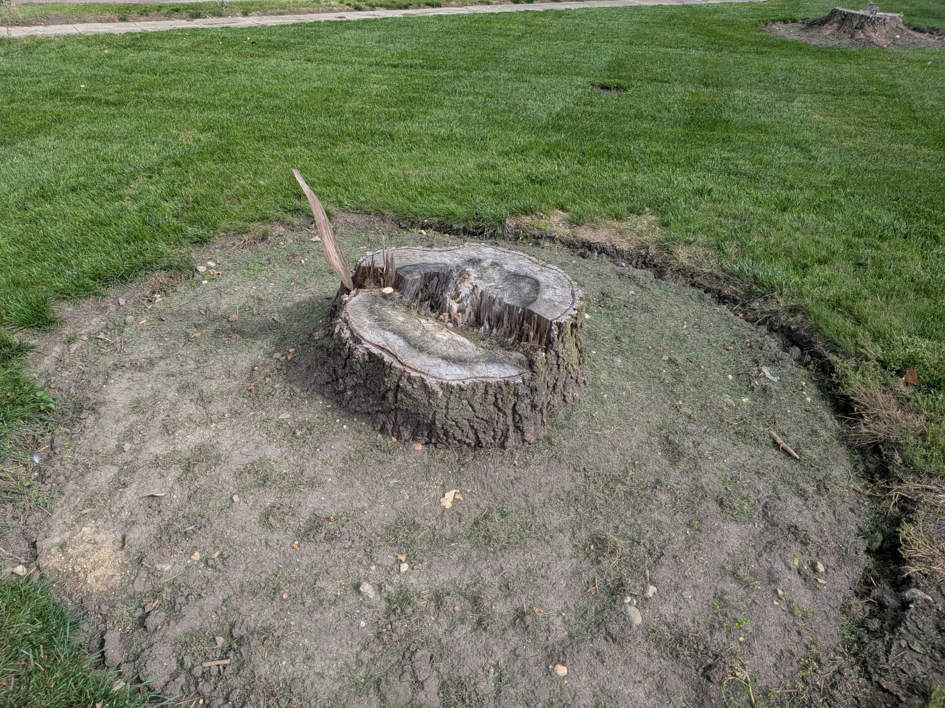 Stump Removal and Grinding in Darfur MN image