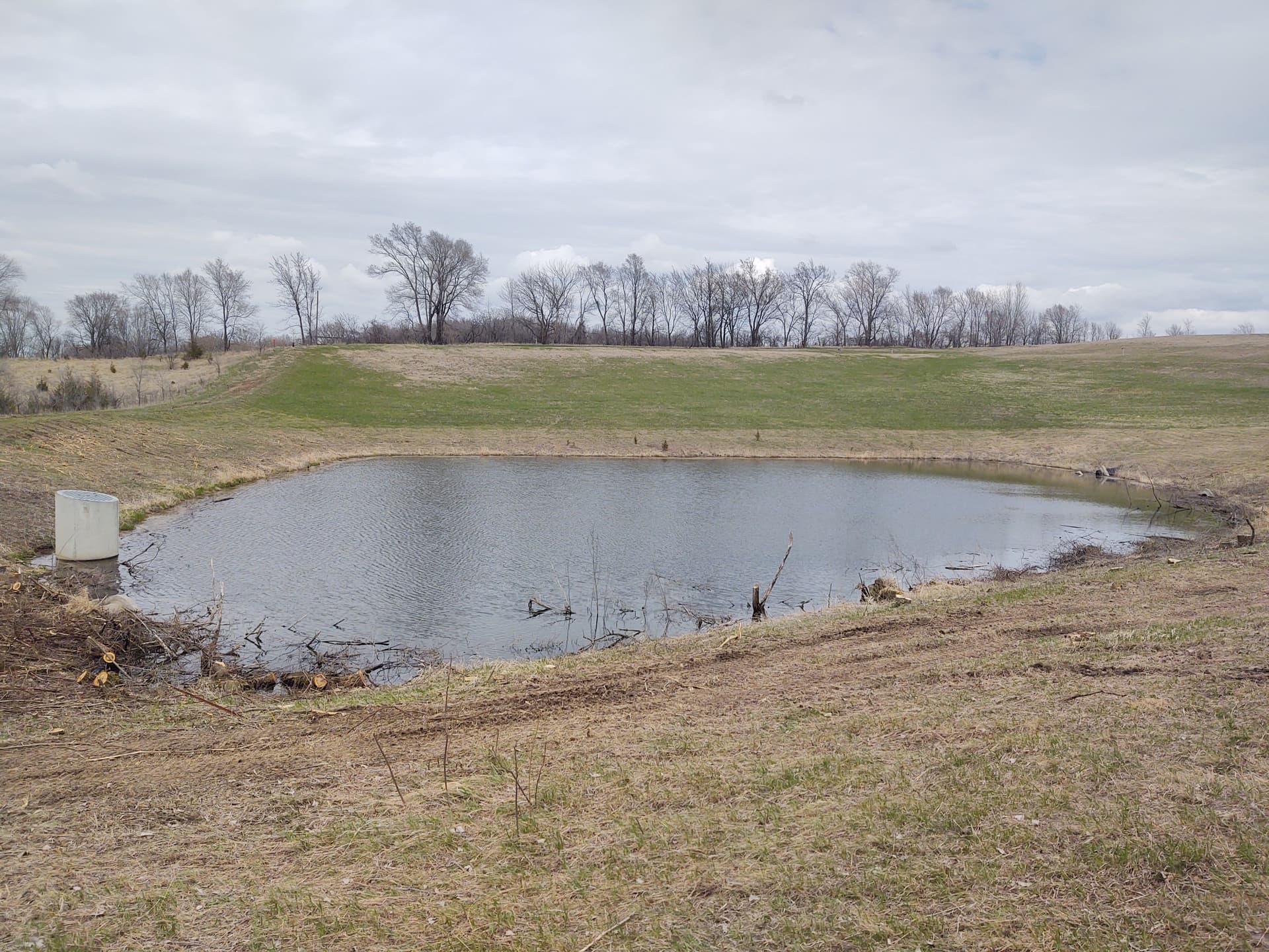 Gallery photos for Overgrown Pond Site Cleared and Opened Up Near St. Peter MN: Image #7