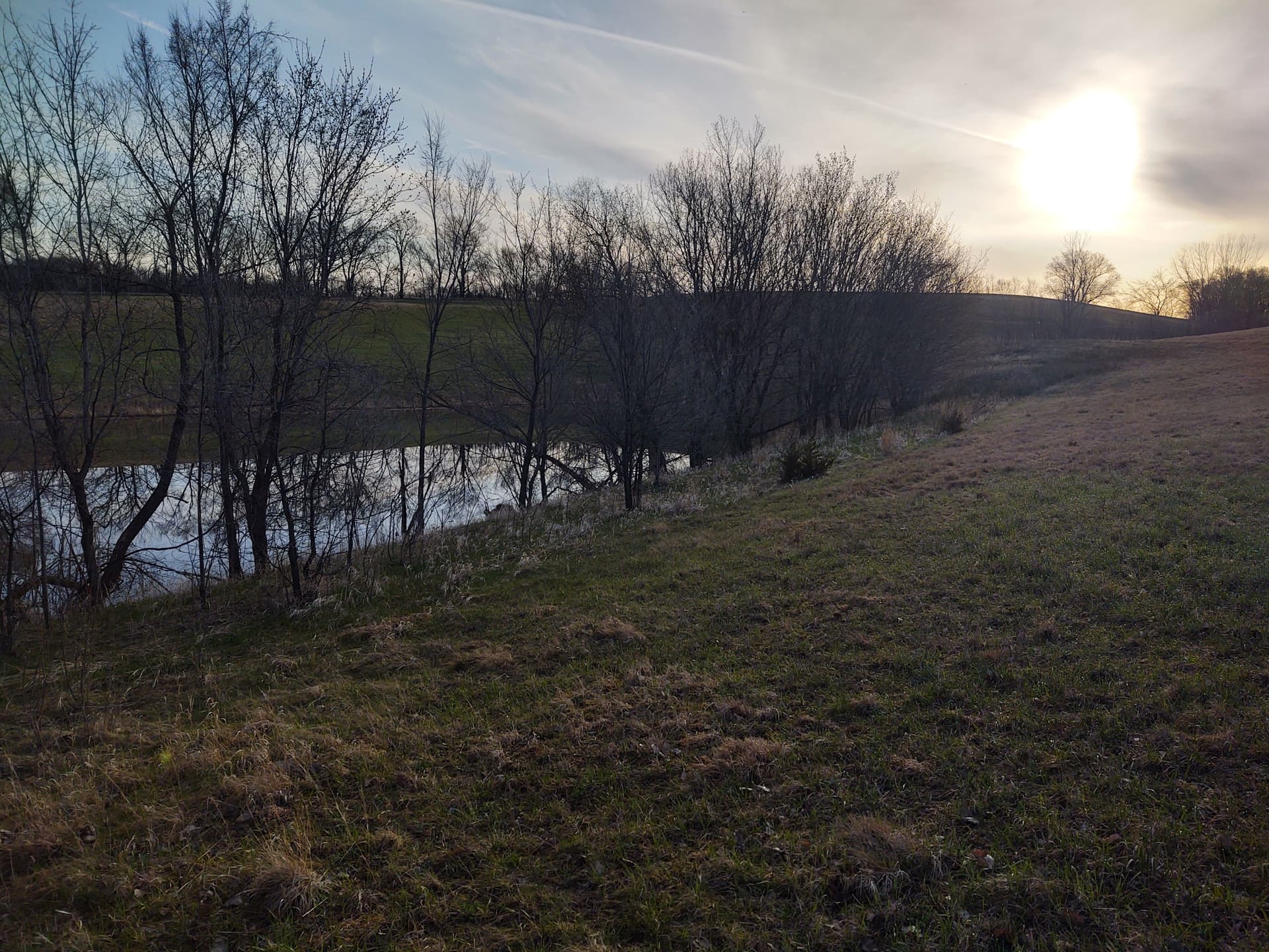 Gallery photos for Overgrown Pond Site Cleared and Opened Up Near St. Peter MN: Image #5