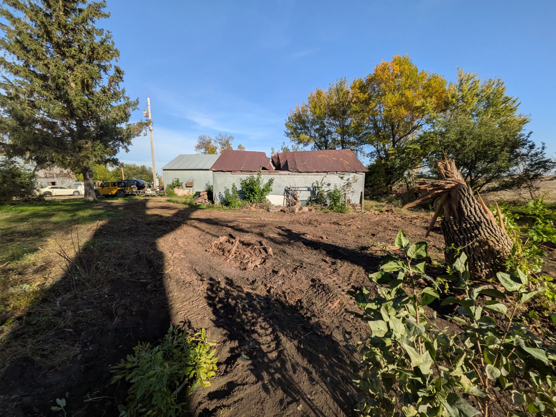 Gallery photos for Overgrown Property Land Clearing and Storm Tree Removal in Lakefield: Image #3