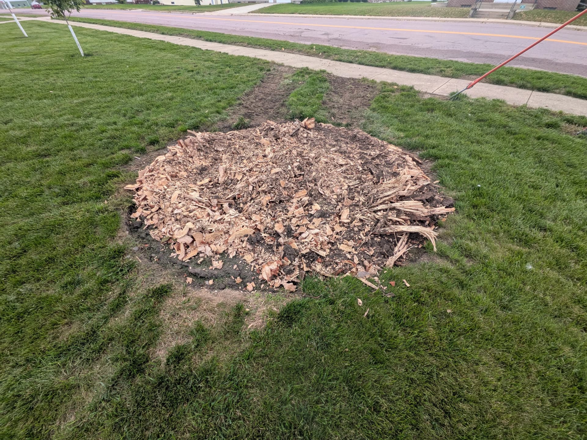 Gallery photos for Stump Removal and Grinding in Darfur MN: Image #2