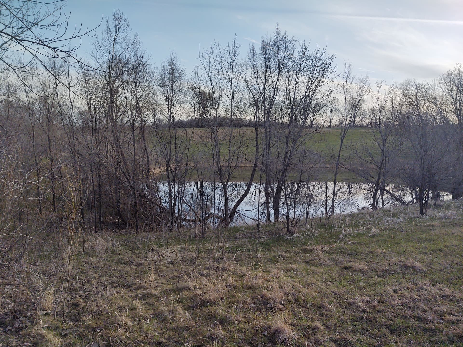 Gallery photos for Overgrown Pond Site Cleared and Opened Up Near St. Peter MN: Image #2