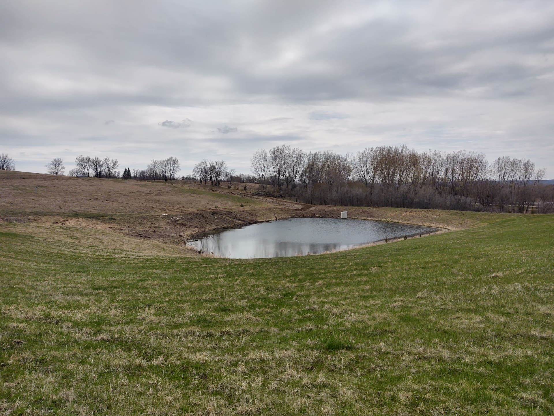 Gallery photos for Overgrown Pond Site Cleared and Opened Up Near St. Peter MN: Image #8