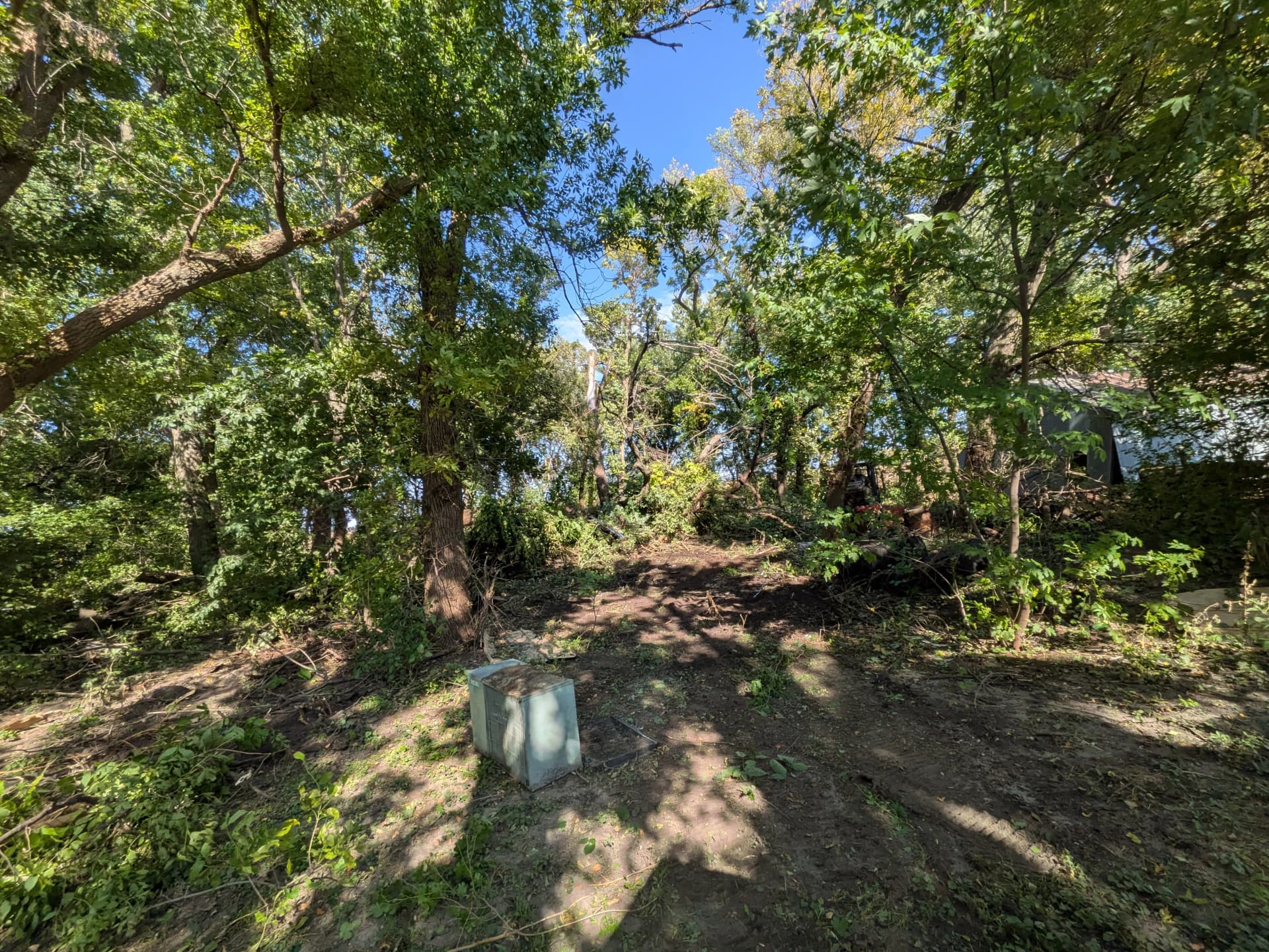 Overgrown Property Land Clearing and Storm Tree Removal in Lakefield image