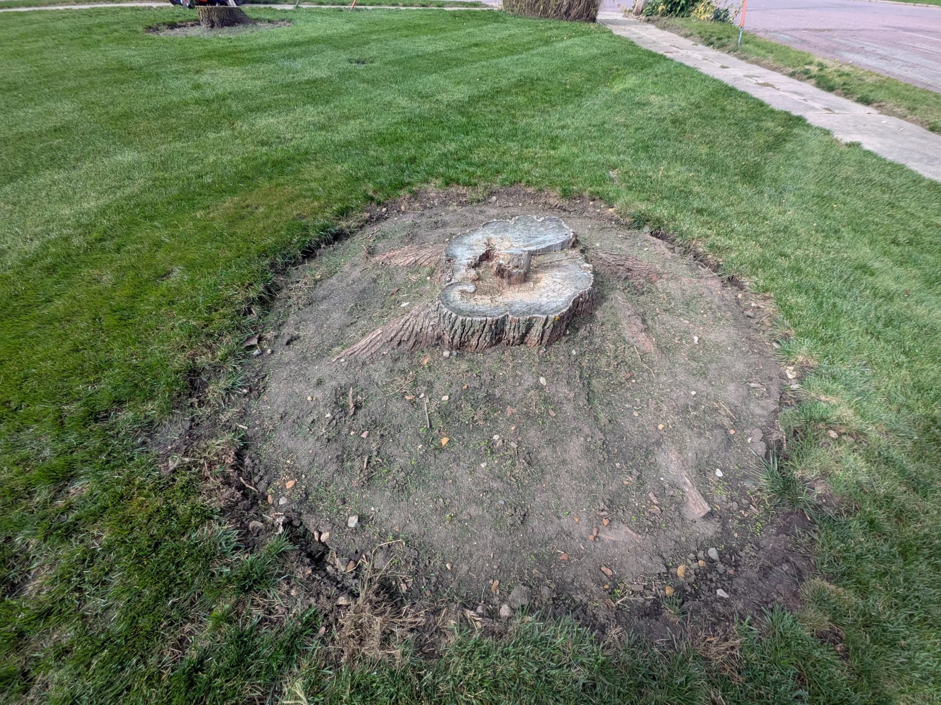 Gallery photos for Stump Removal and Grinding in Darfur MN: Image #1