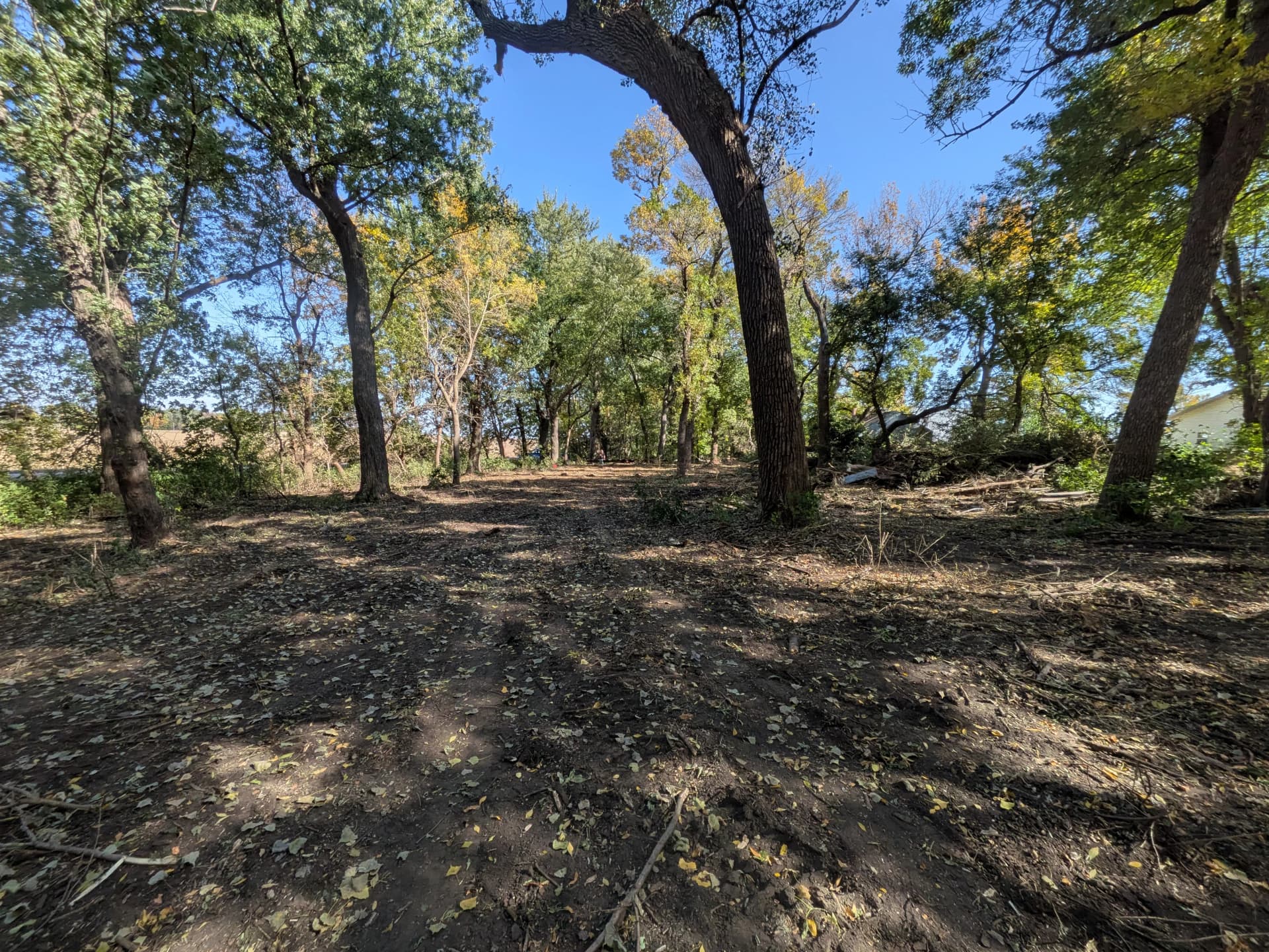 Gallery photos for Overgrown Property Land Clearing and Storm Tree Removal in Lakefield: Image #1